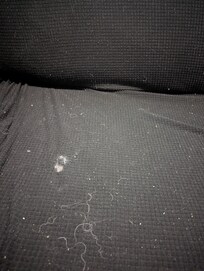 Dirt and animal hair on the couches