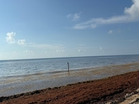 Tranquil beaches
