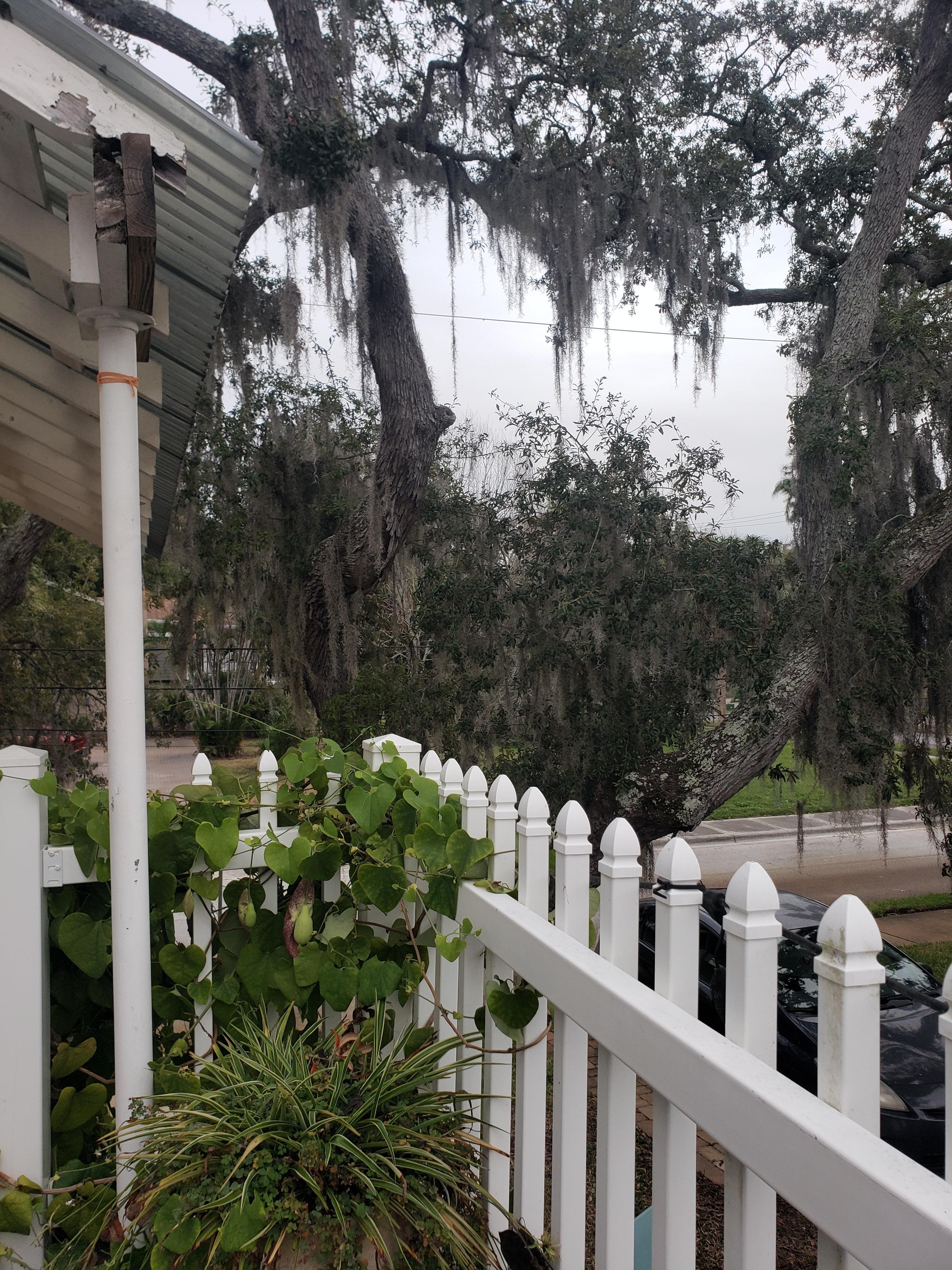 View from the balcony