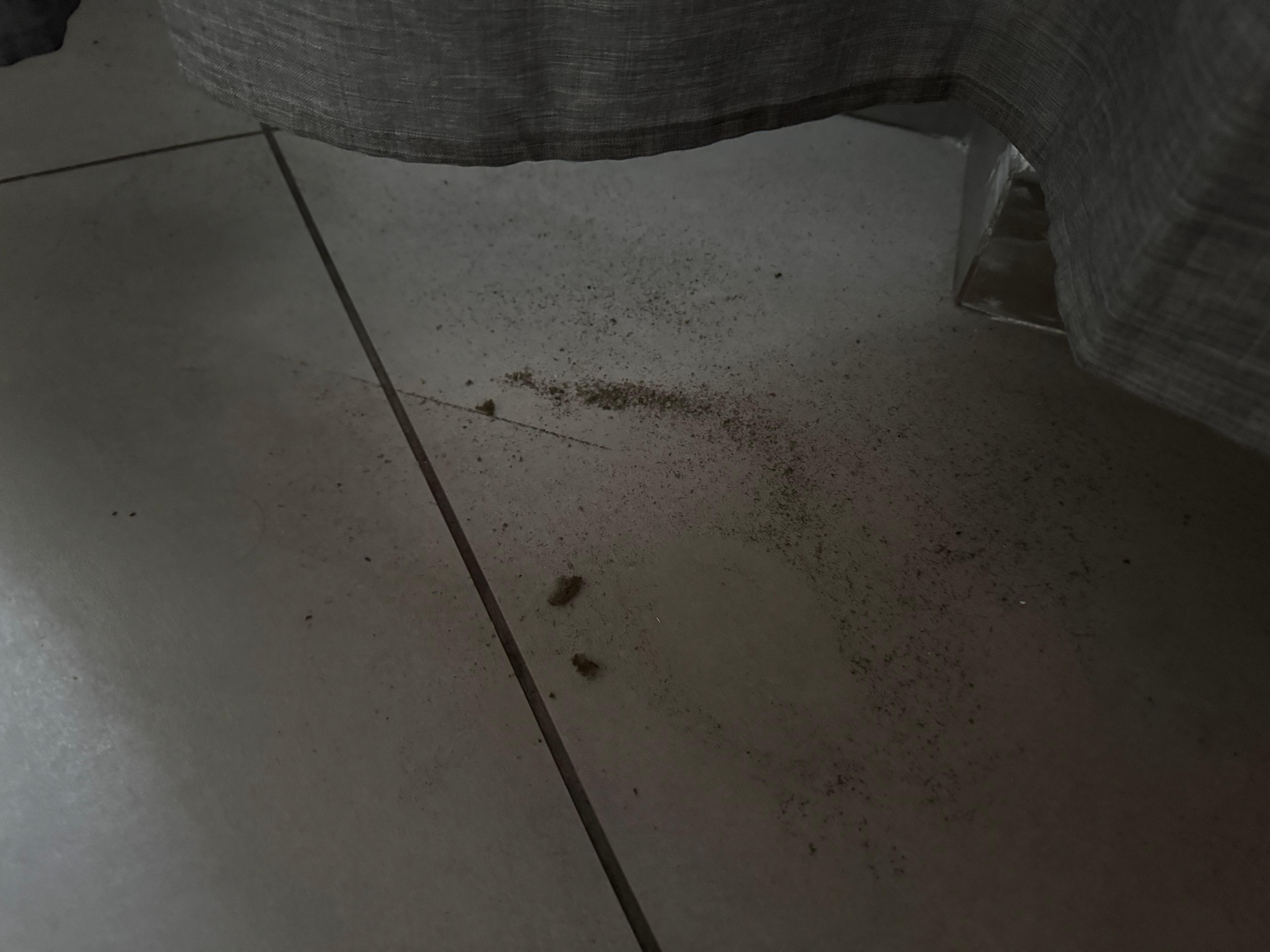 Floors not clean. This is in the living room near tv.