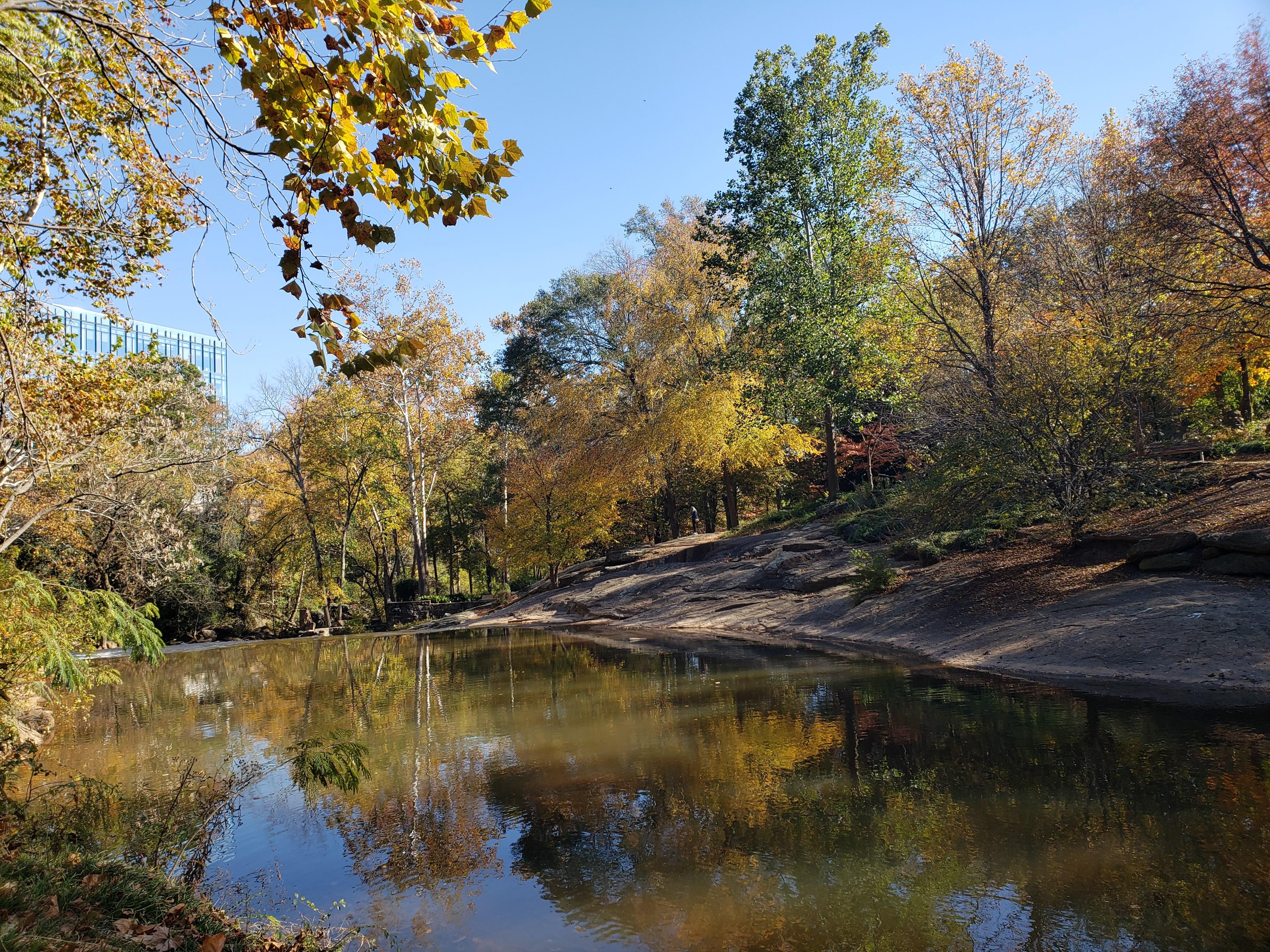 Falls Park Greenville