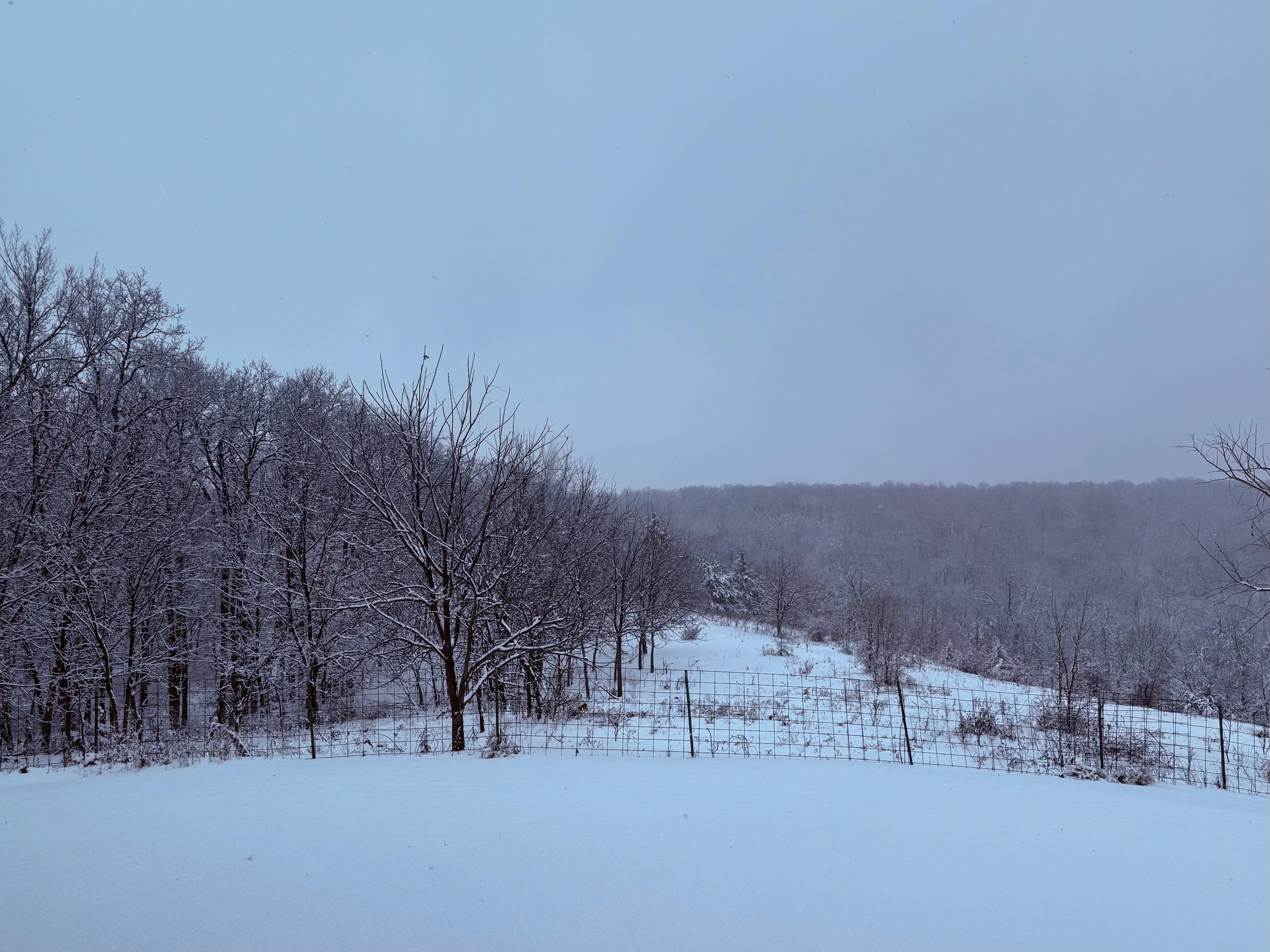 Beautiful views, peaceful surroundings 