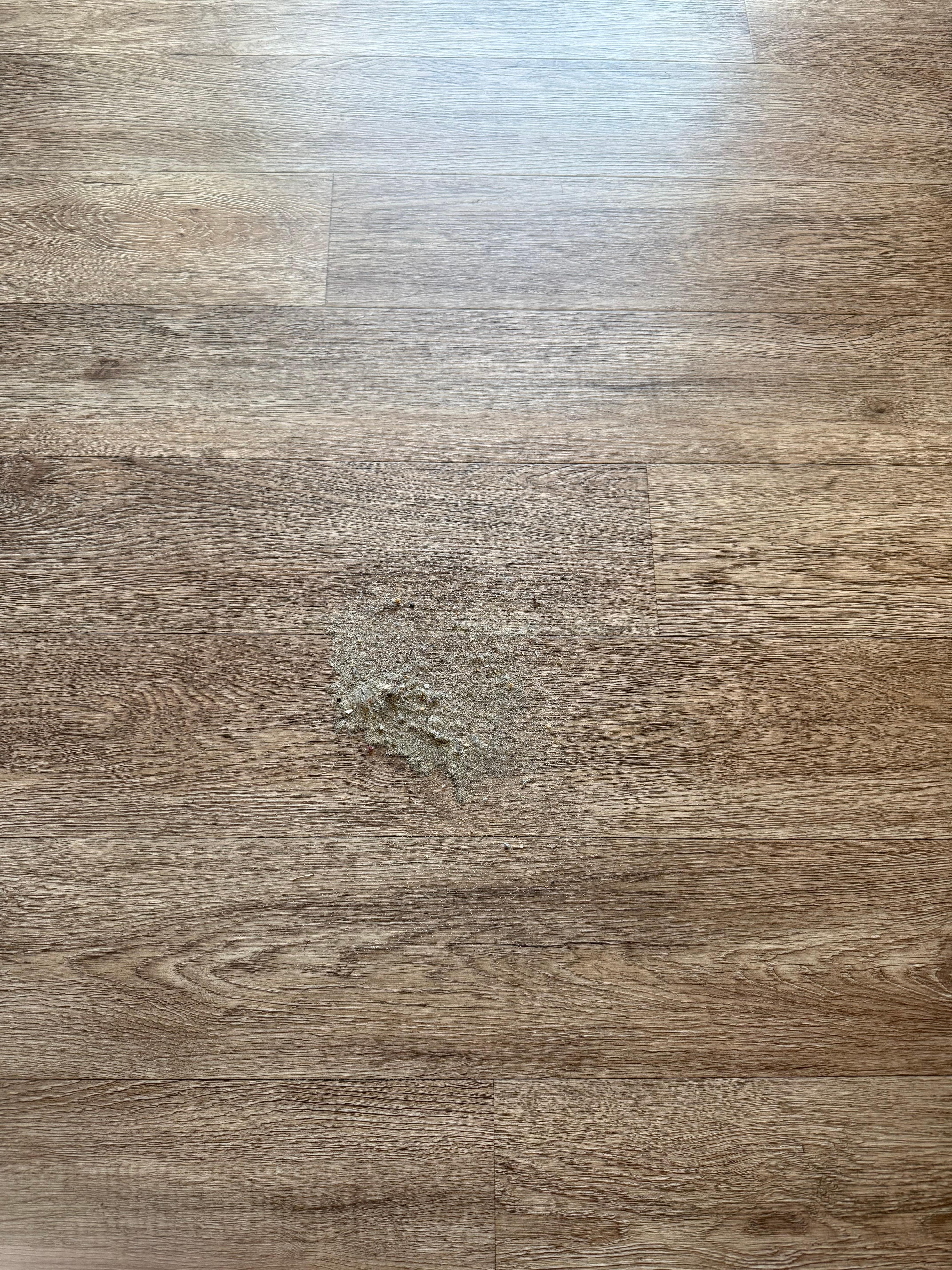 Sweeping every floor right after checking in