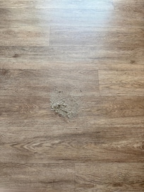 Sweeping every floor right after checking in