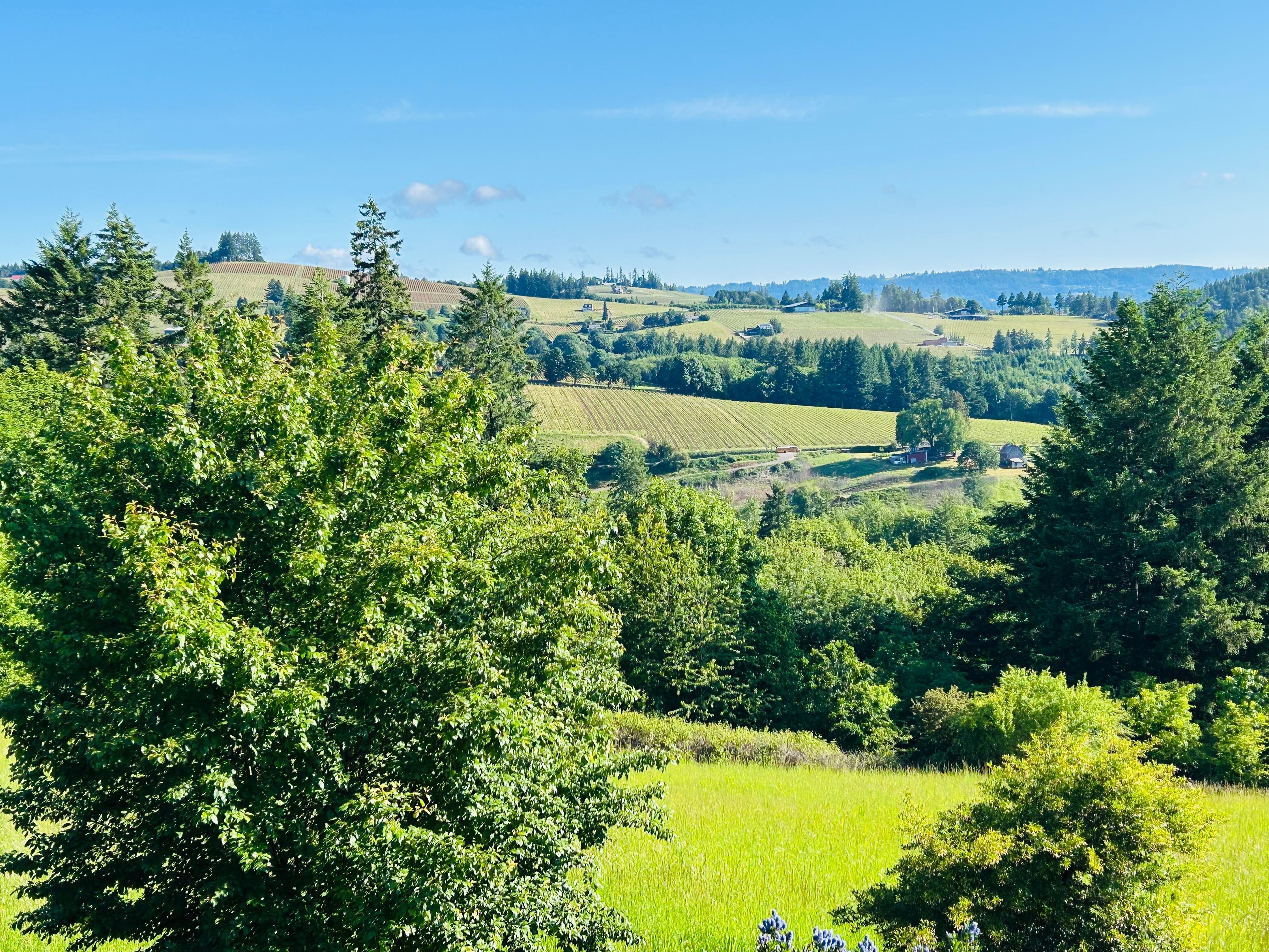 Across the valley