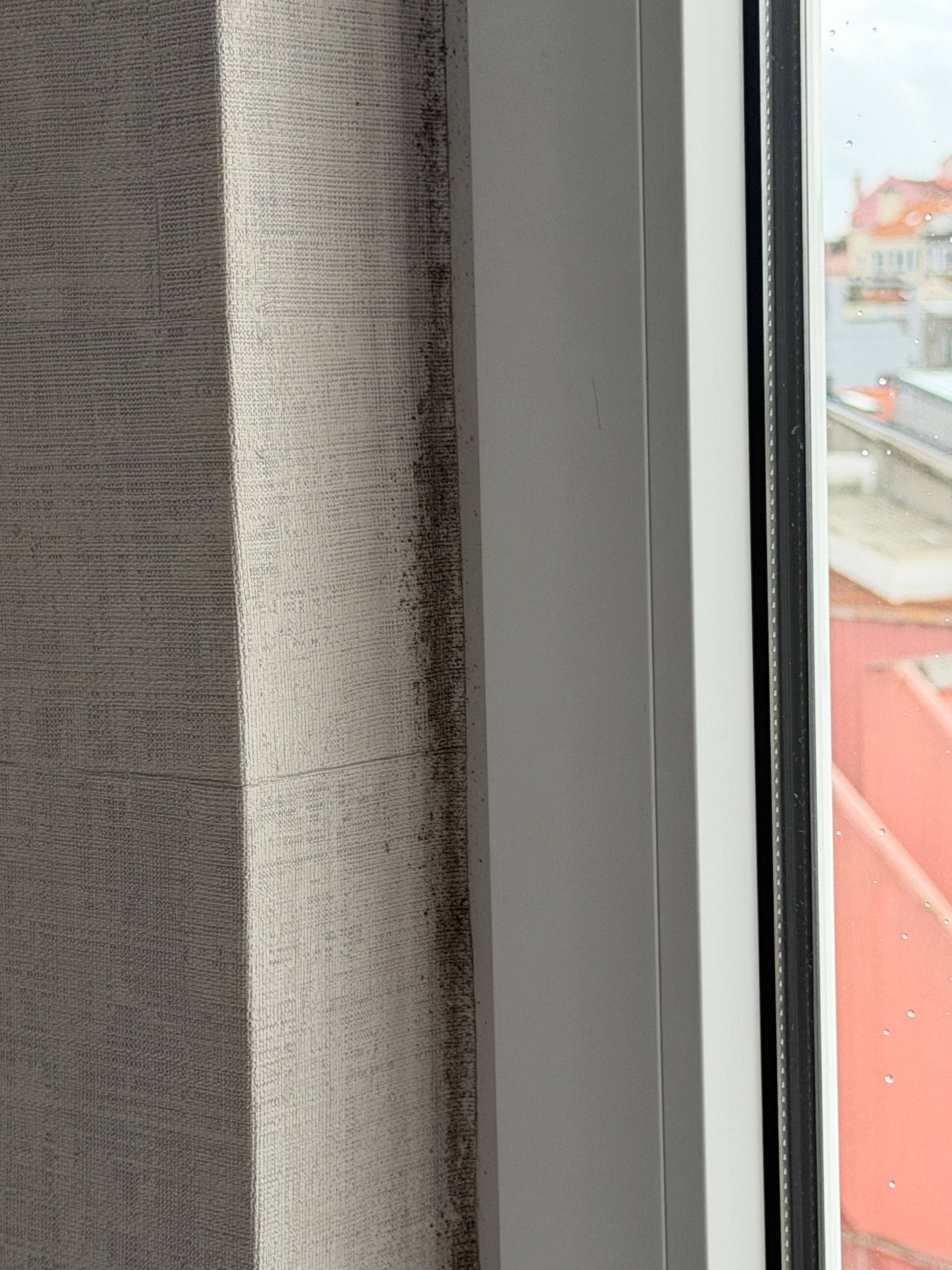 More mold on the window