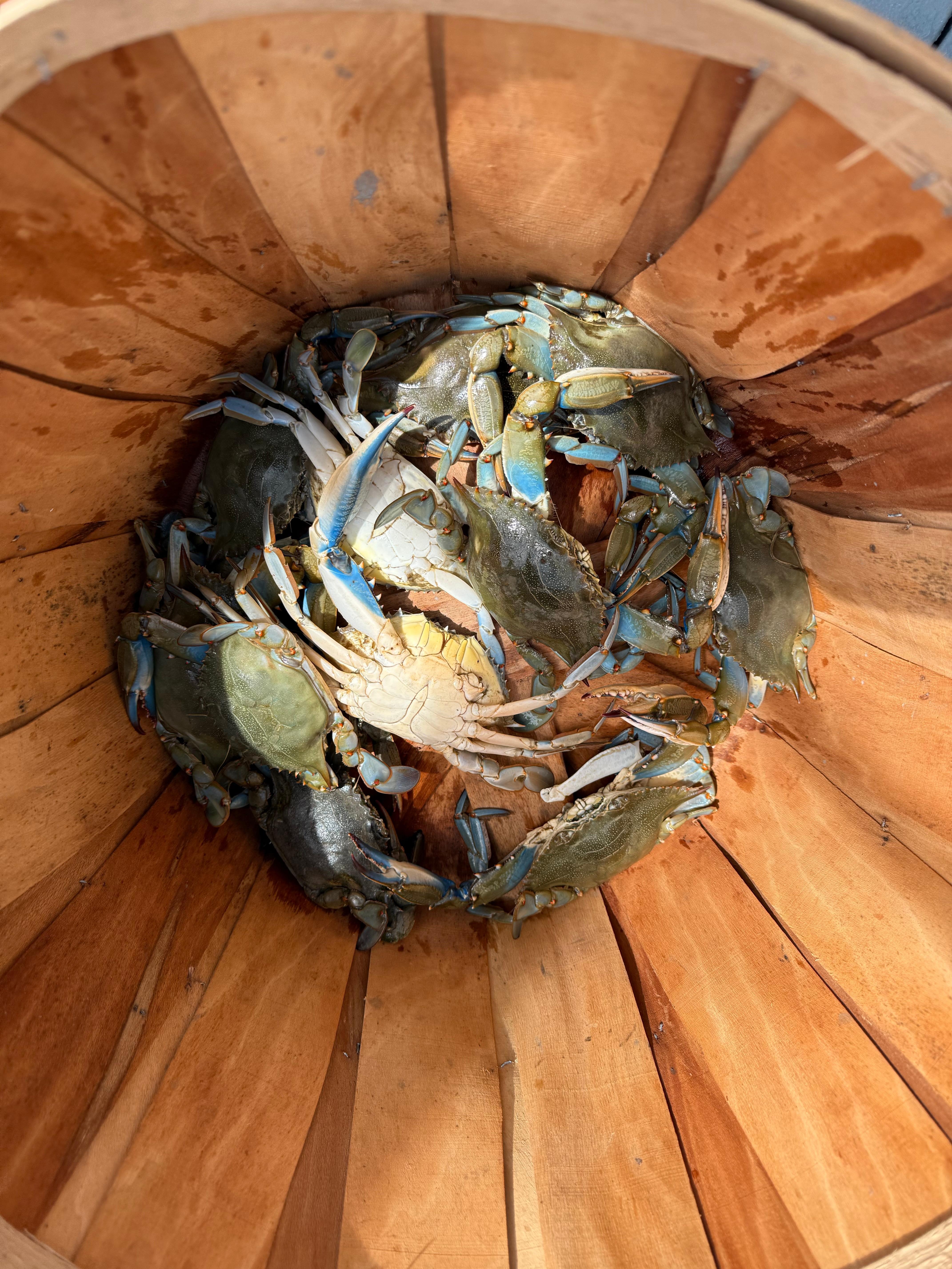 Just a few... there was more! 