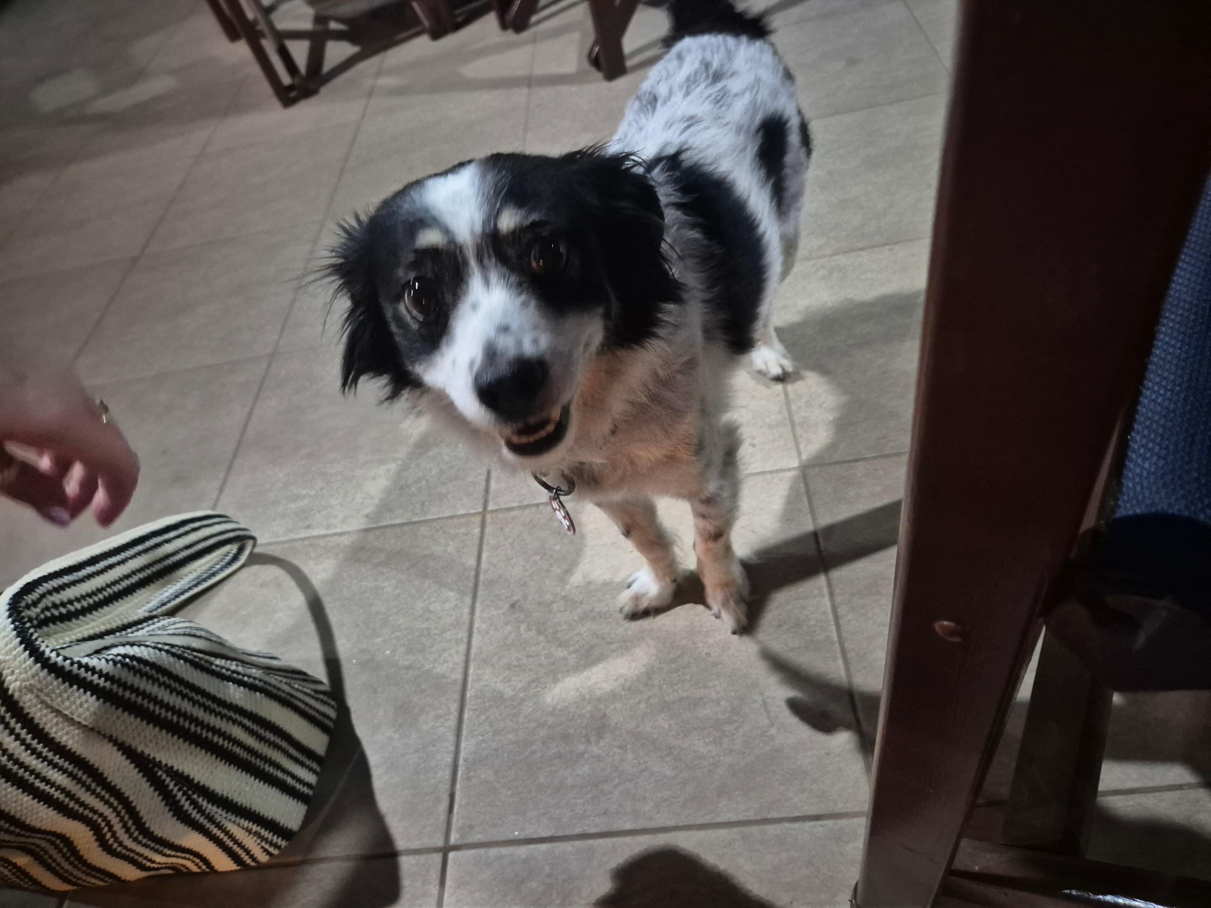 Ruby!