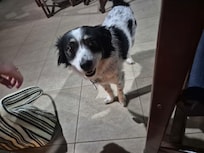 Ruby!