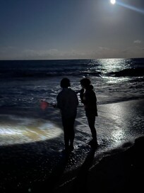 On the hunt for ghost crabs