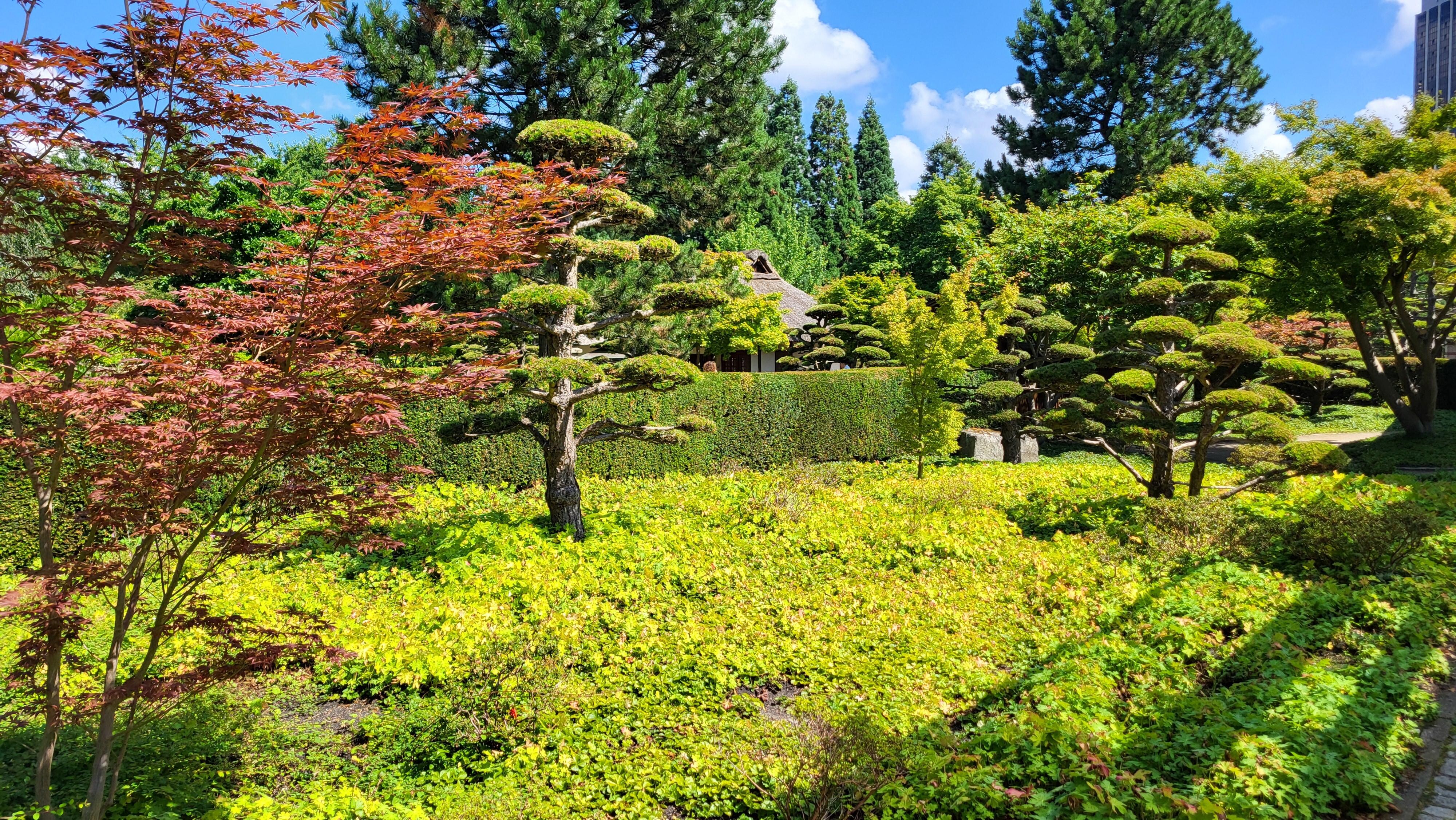 Jardin entre les stations et l'hôtel