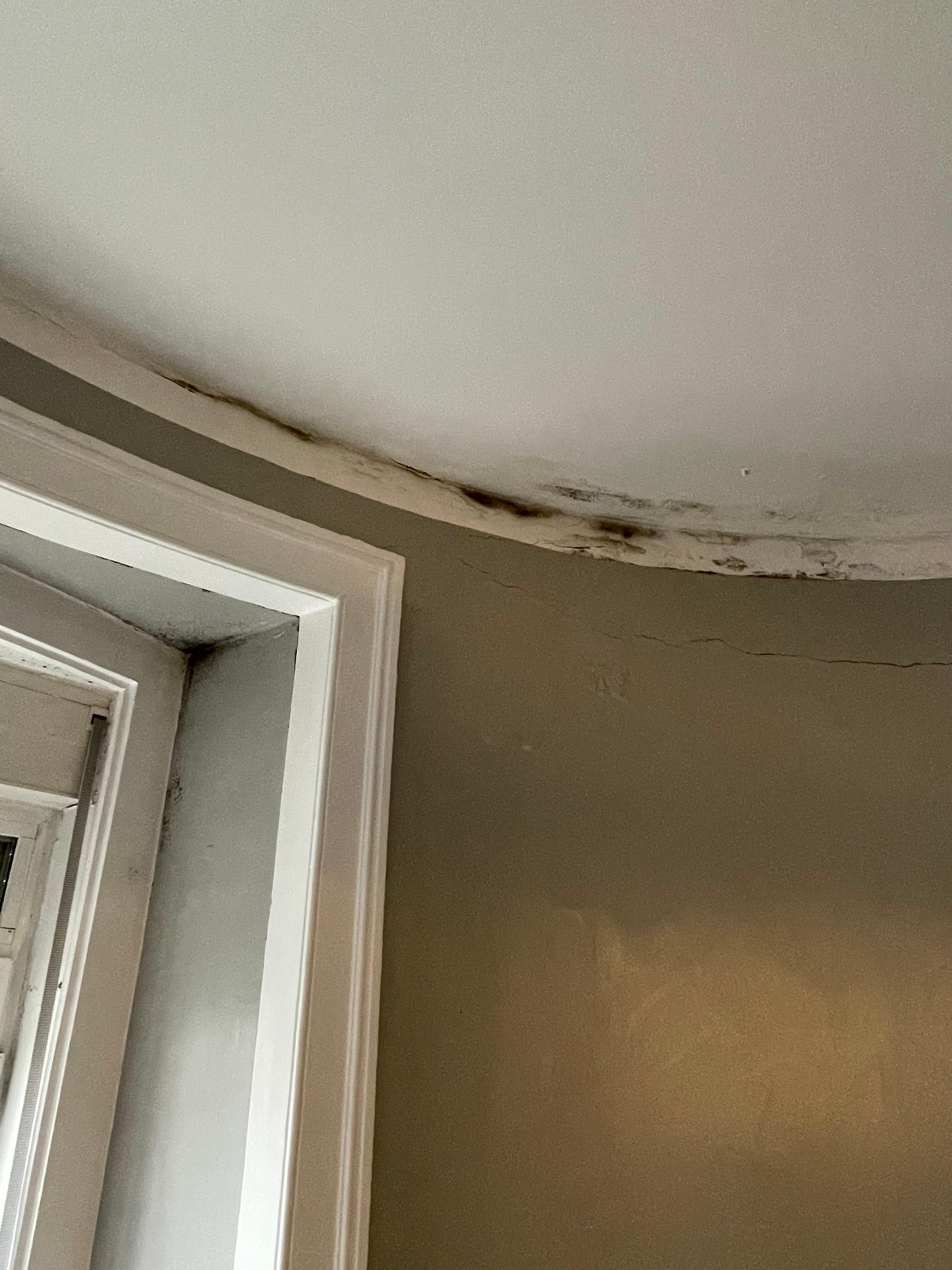 Damp / mould in a couple of rooms