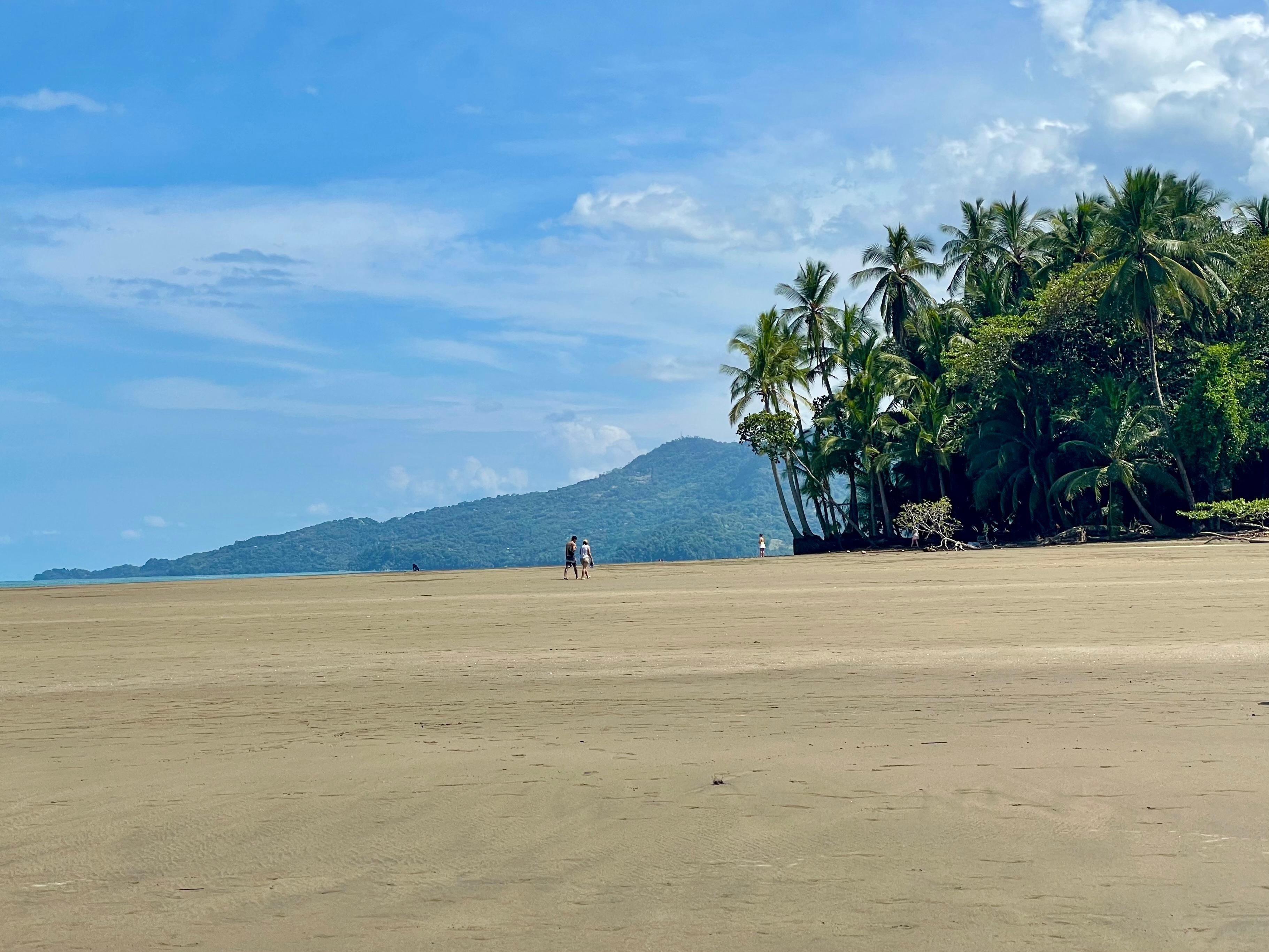 Marino Ballena-The Whales Tale - Uvita 