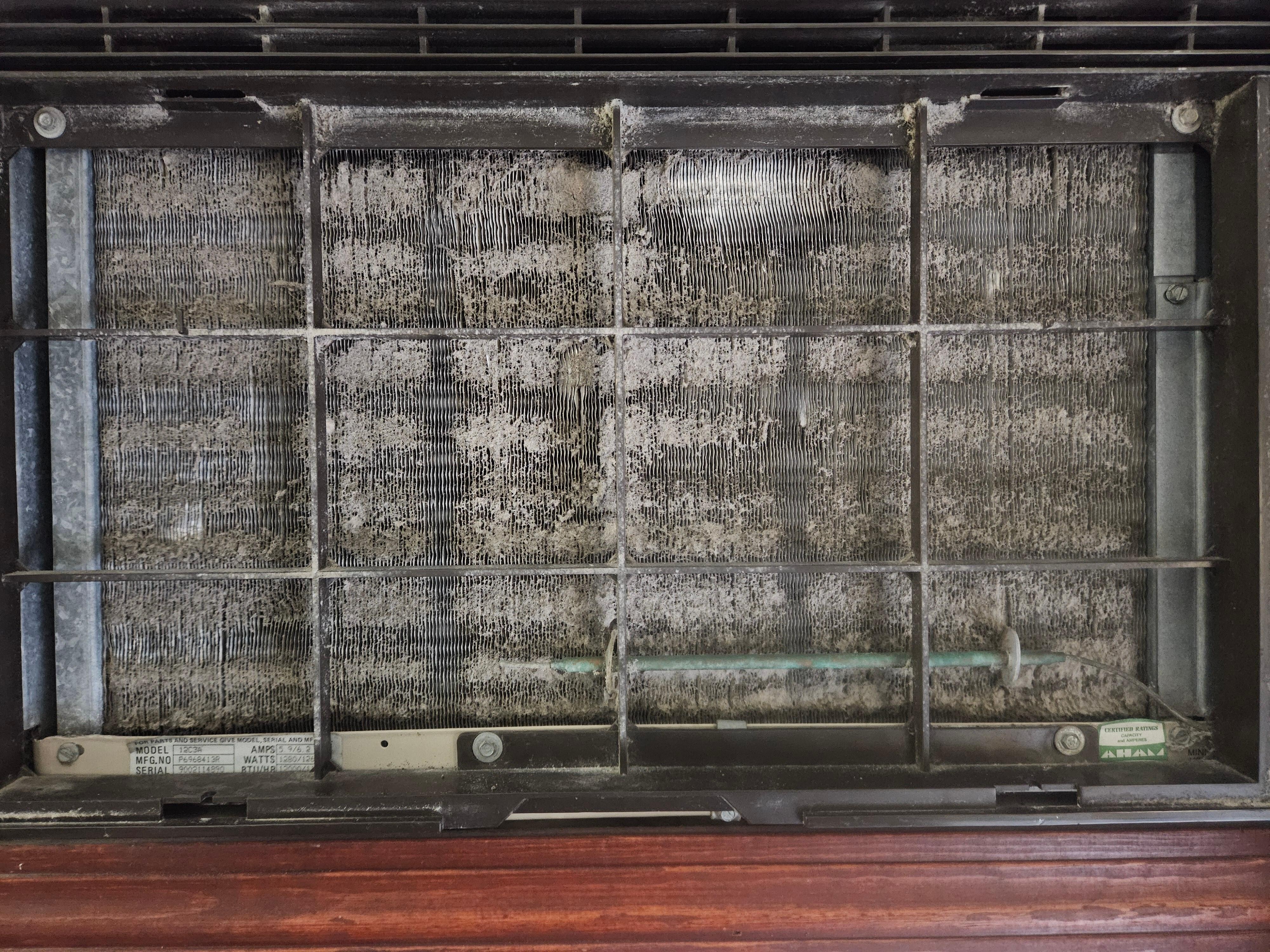 Very dirty air conditioner, could not even get them to clean it.