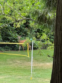 Occasional visitors did stop by.