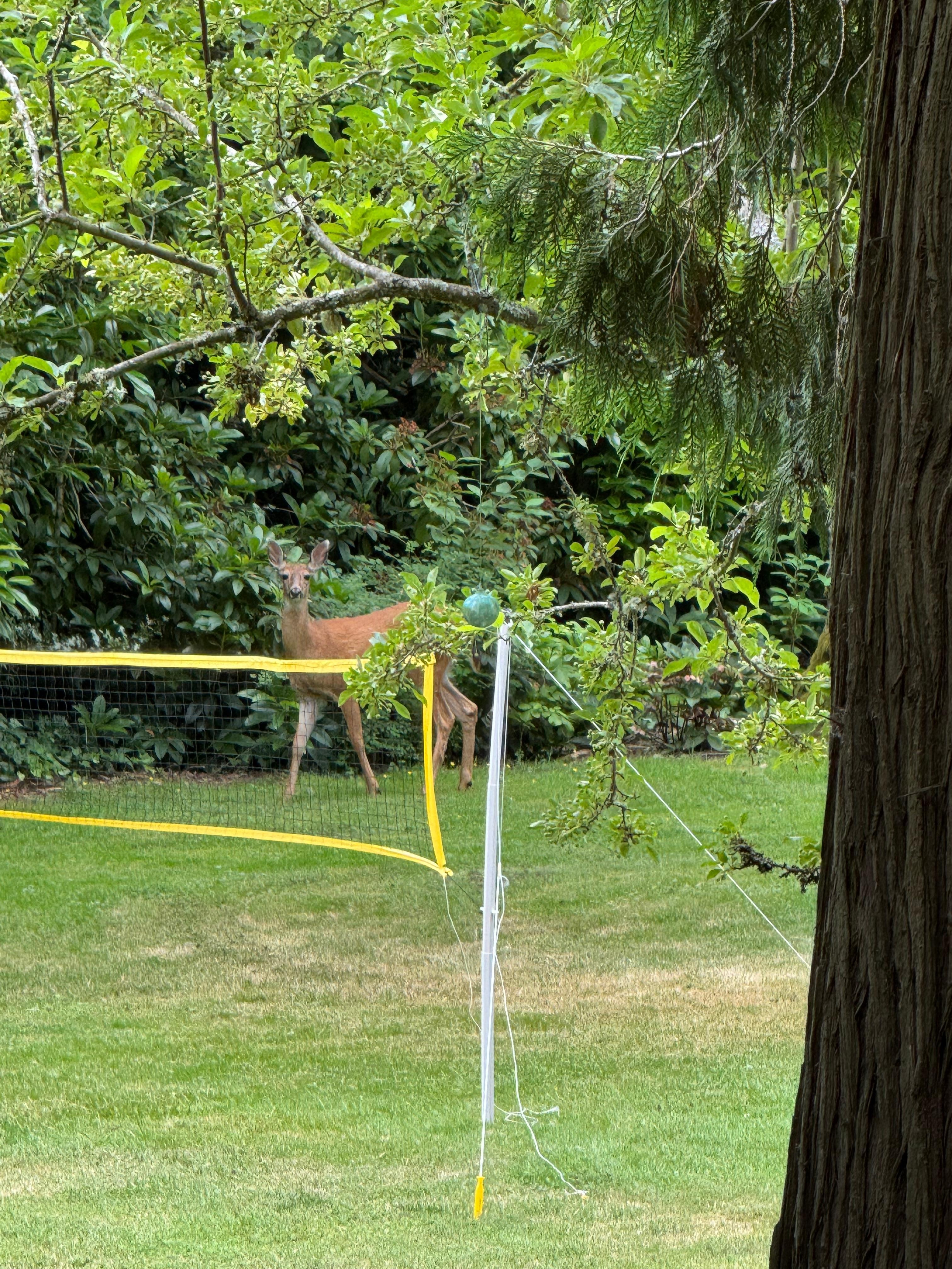 Occasional visitors did stop by.