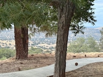 Looking south from the back patio