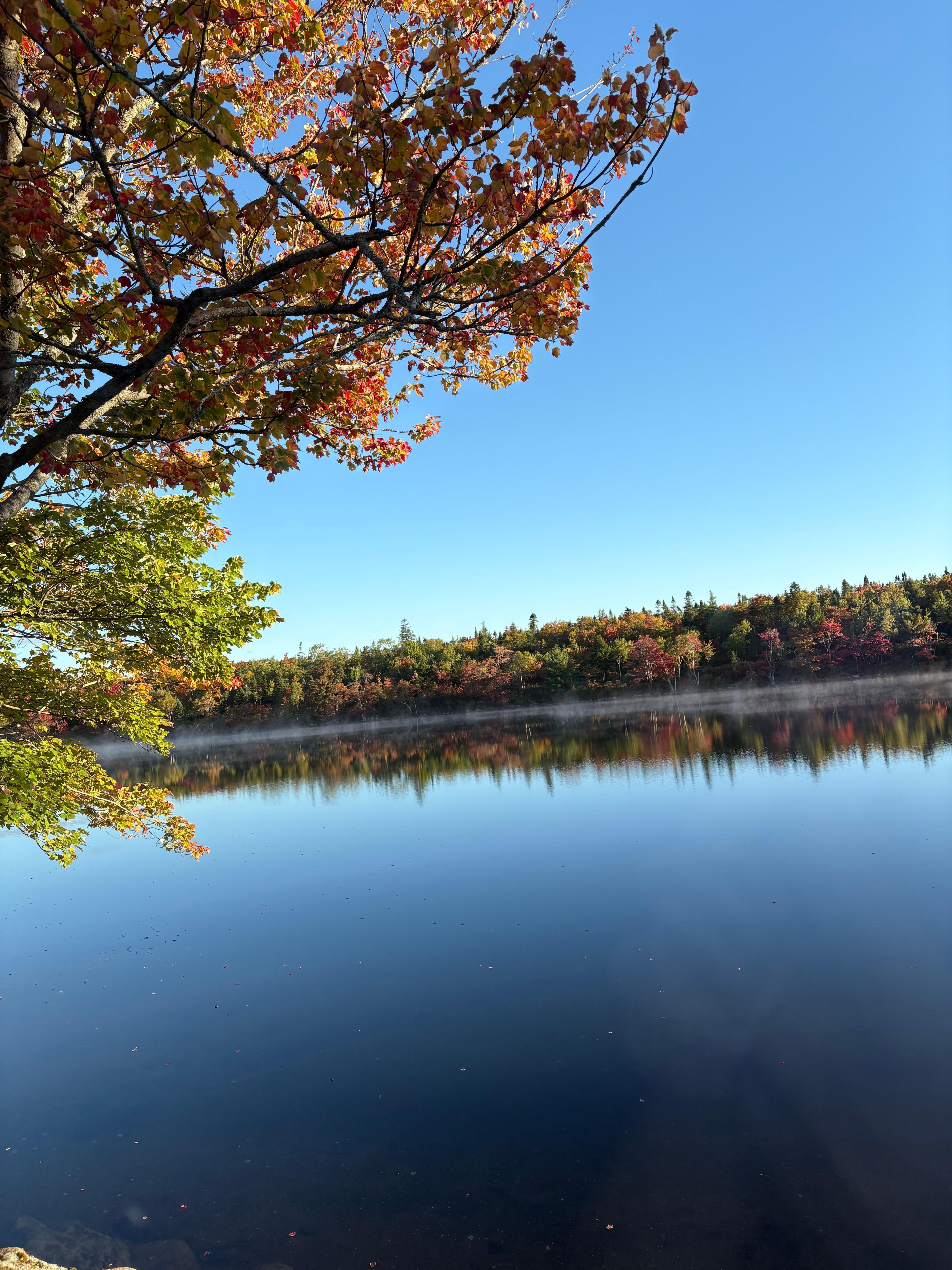 View out my window over the lake