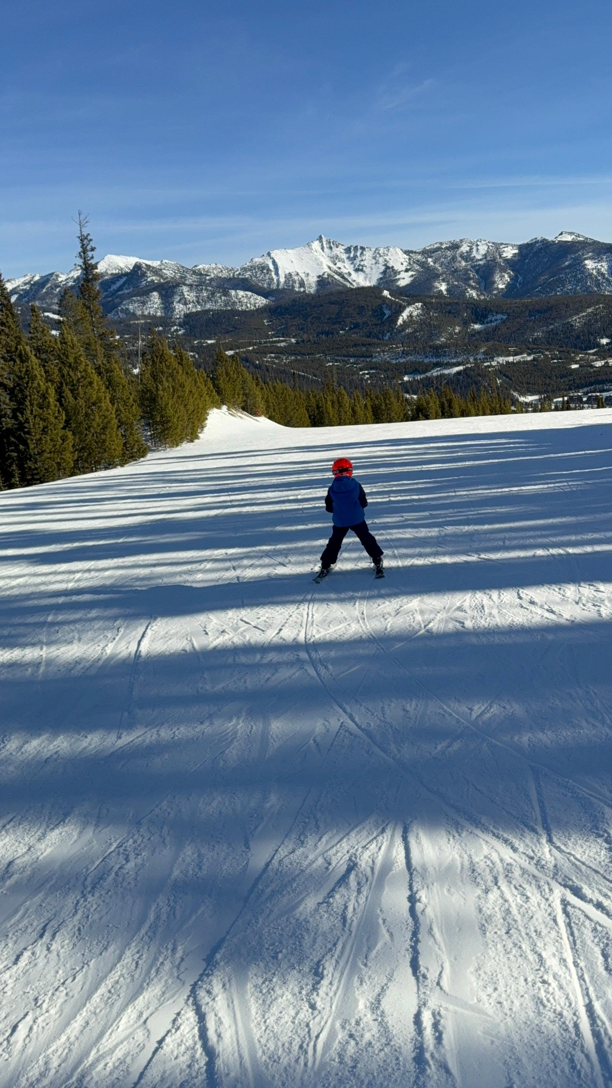 Skiing WhiteWing