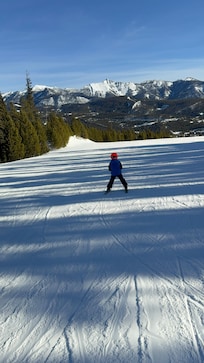 Skiing WhiteWing