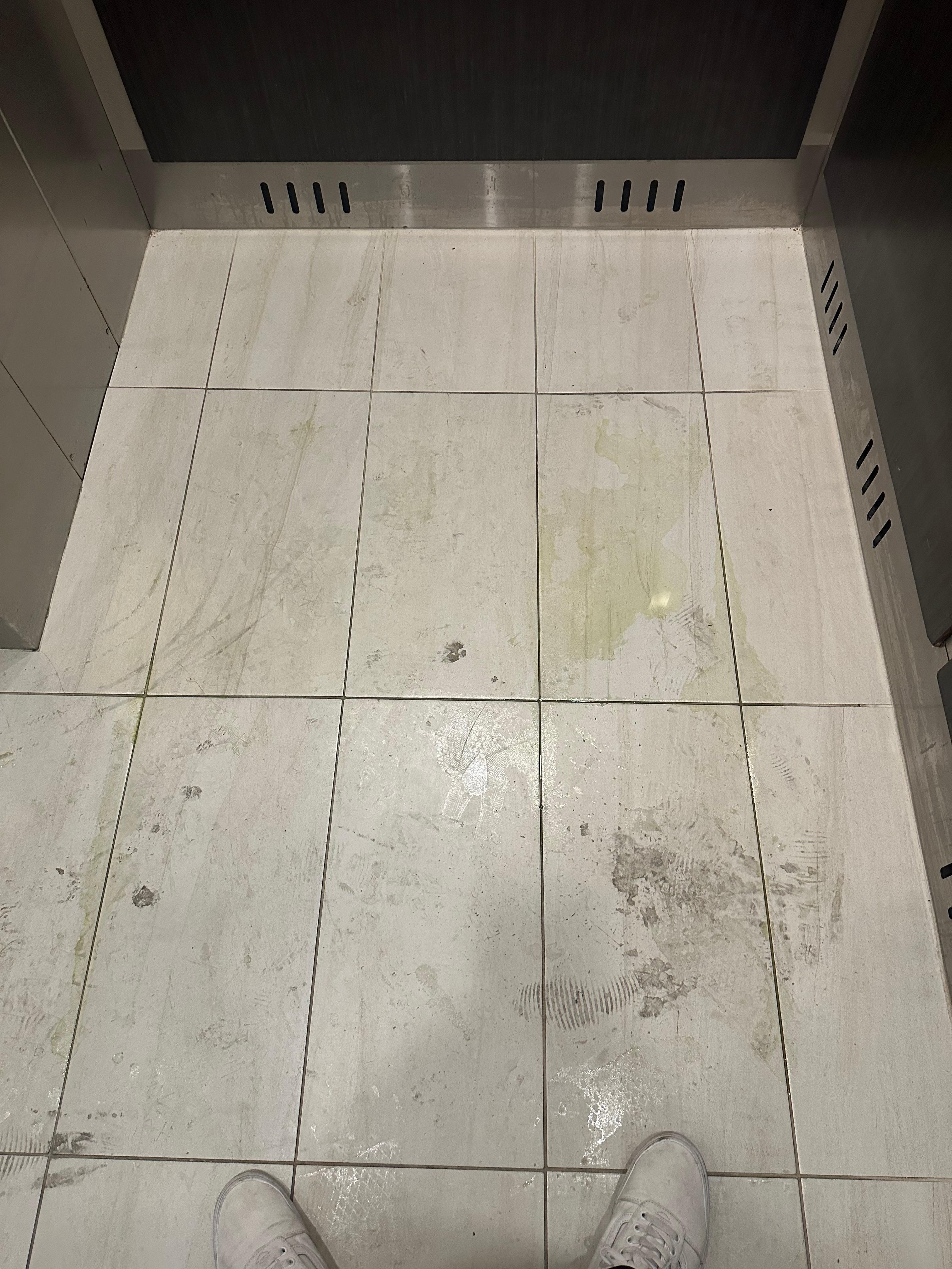 Dog pee in elevator. Told front desk that didn’t do anything about it