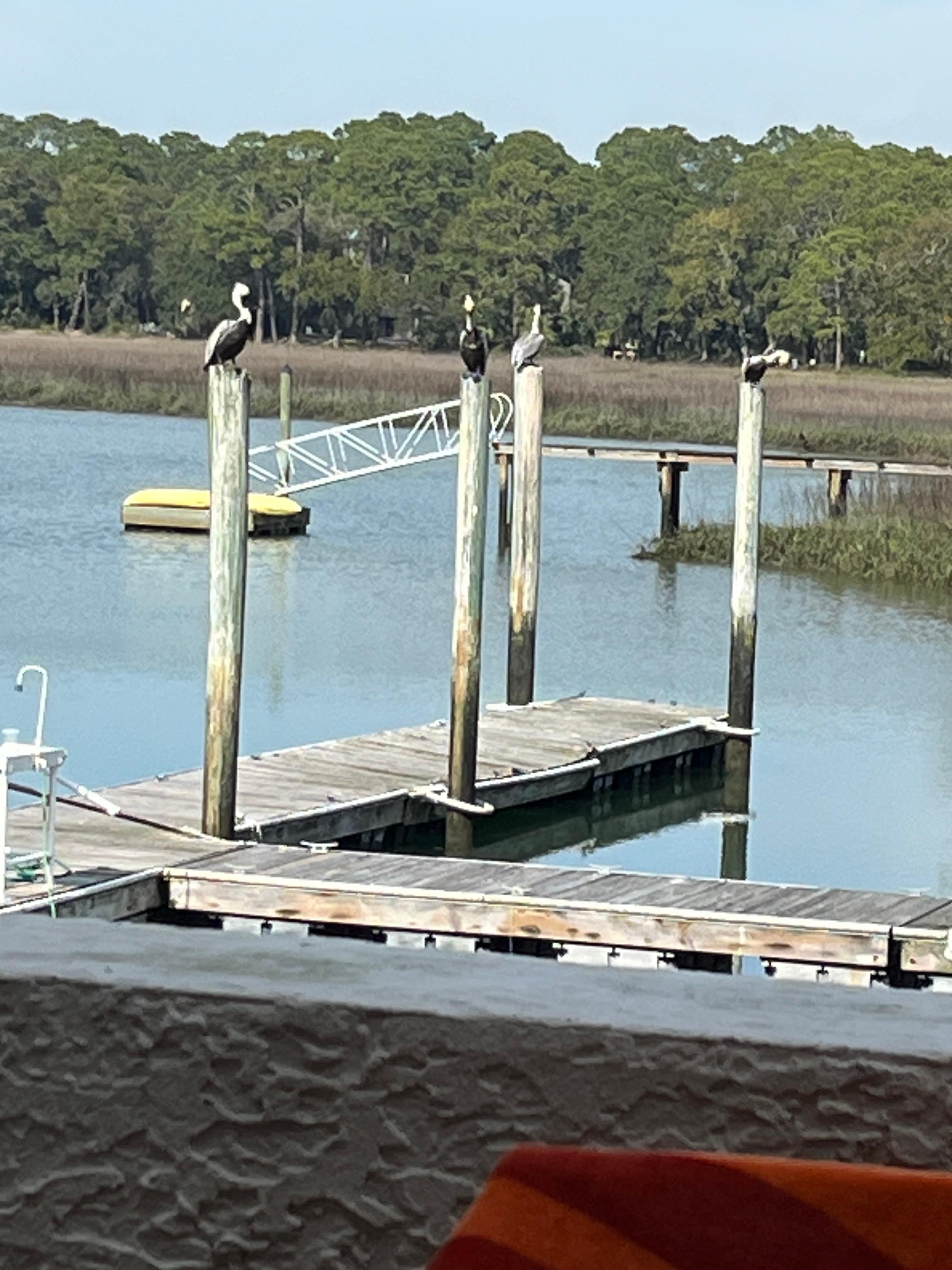 View from the villa’s porch 
