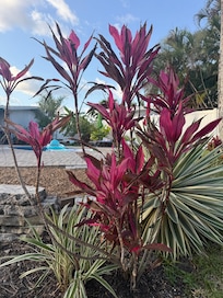 Beautiful Landscaping