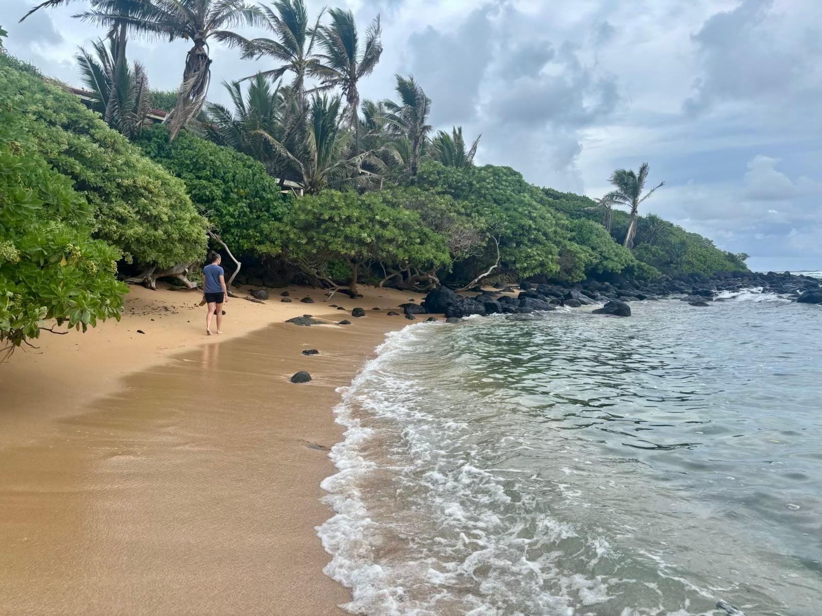 Morning walk down the road leads to this beach