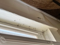 Bugs on windows
