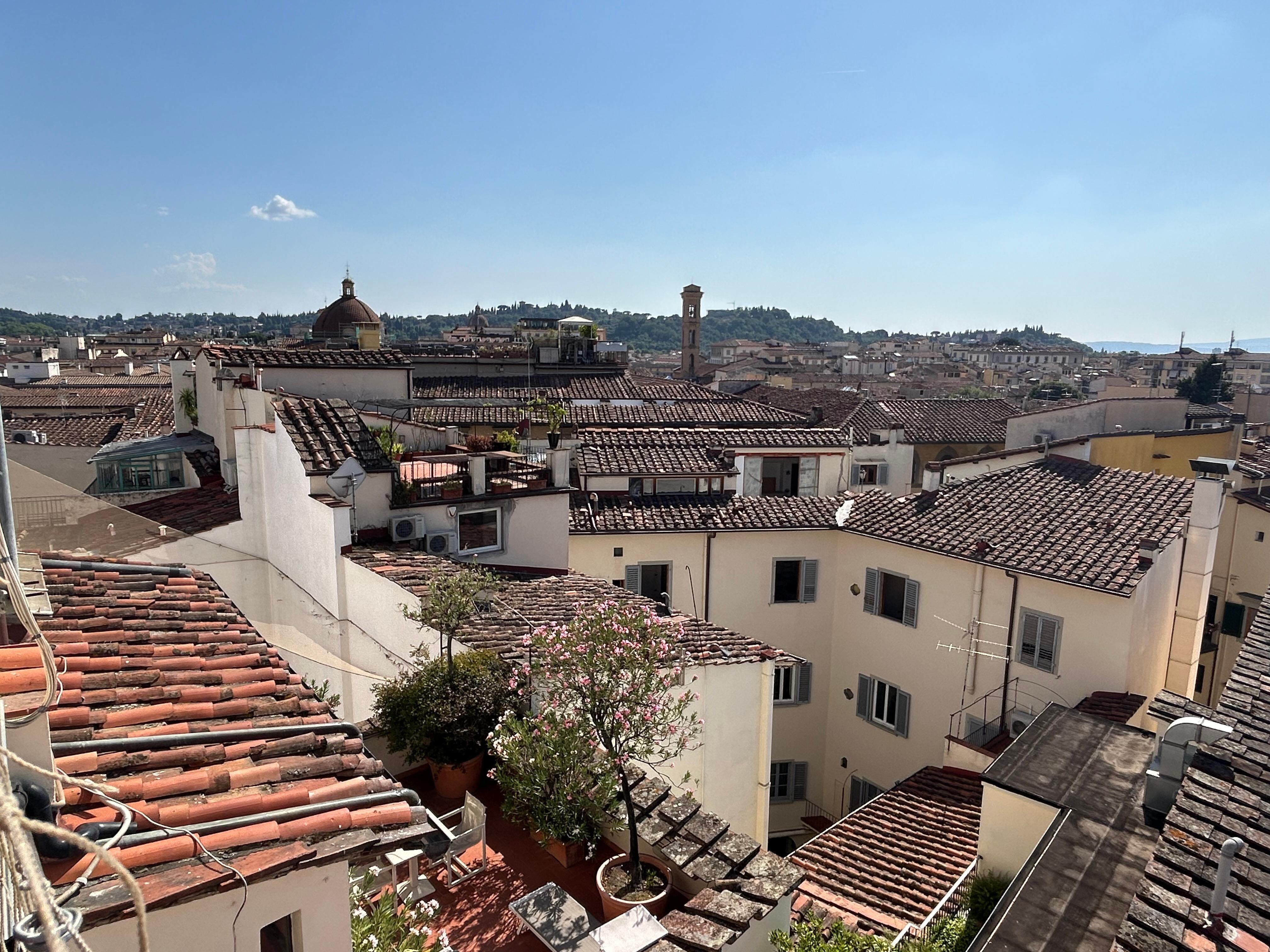 View from roof