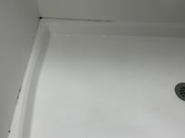 We belive mold