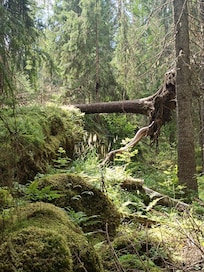 Wanderung