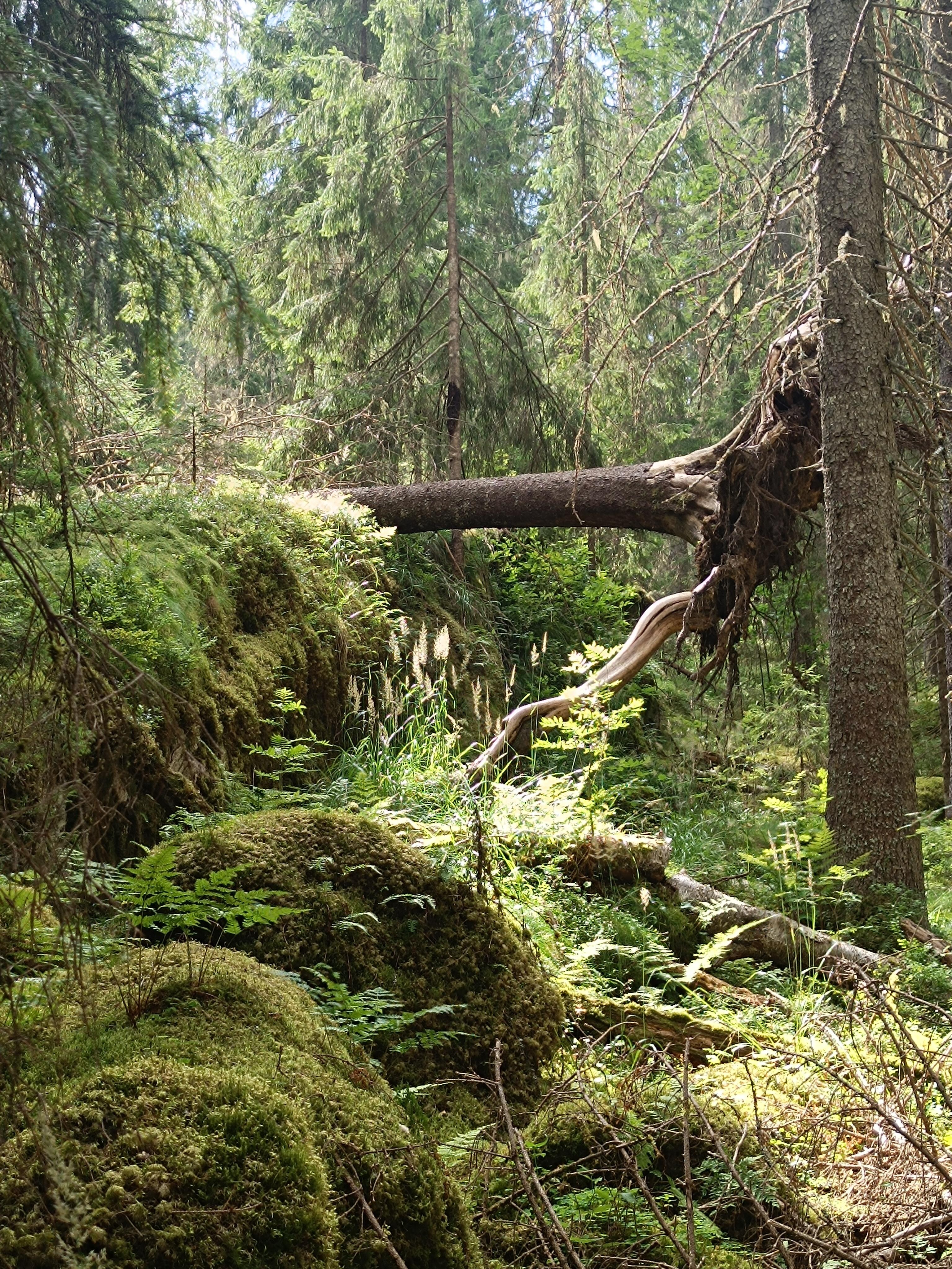 Wanderung 