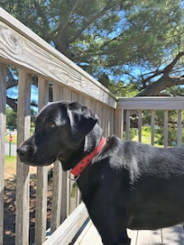 Everyone enjoyed the deck