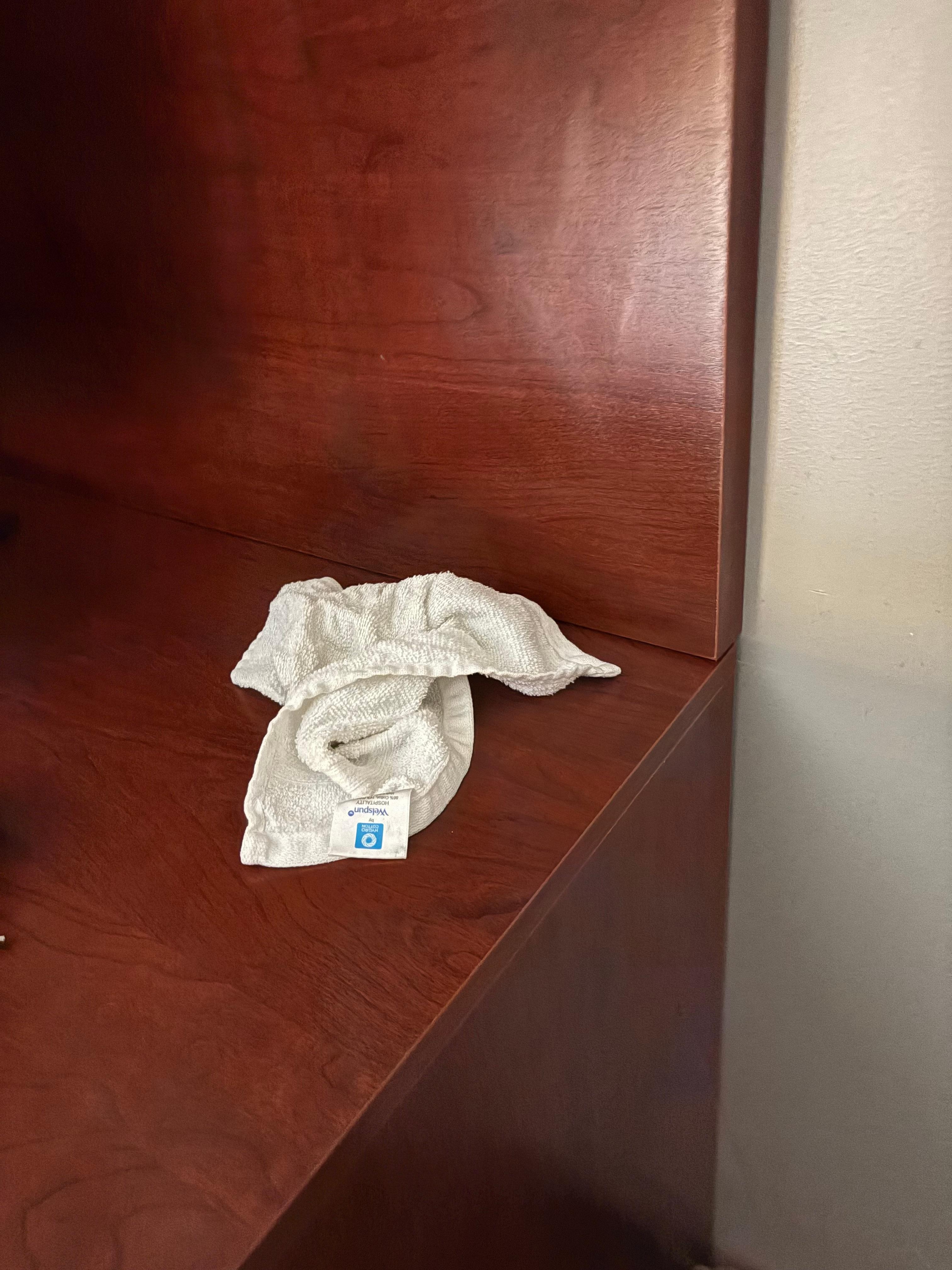 This dirty cloth was on the dresser when I entered