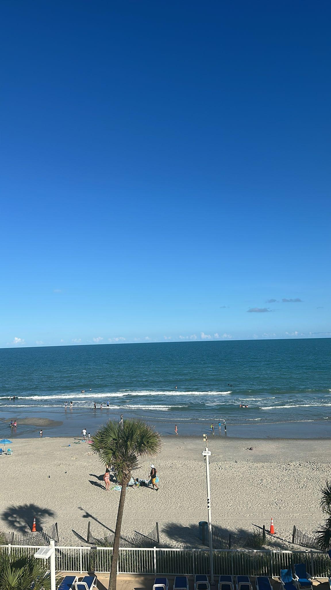 View from the room