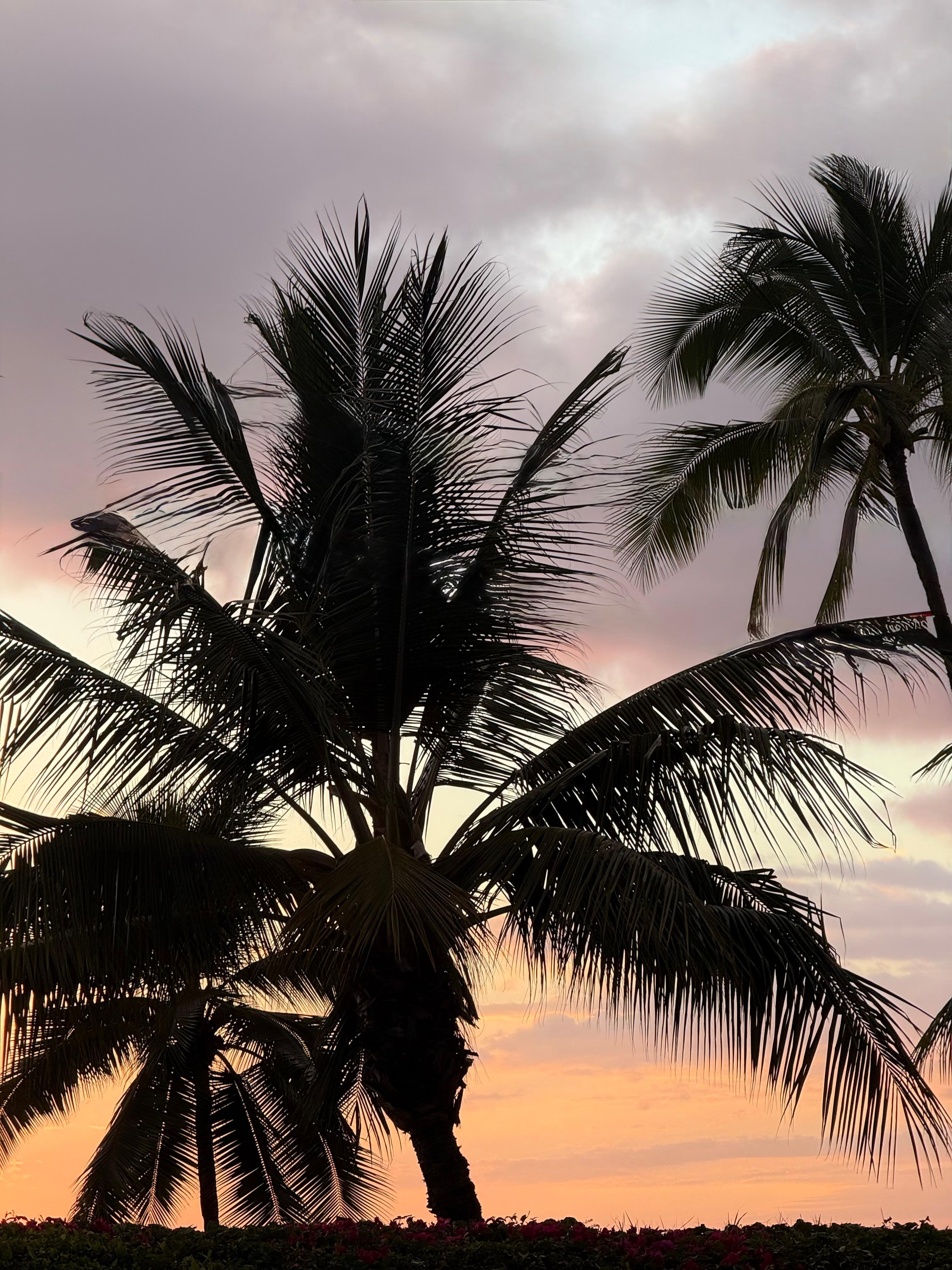 Sunset view from the lanai.