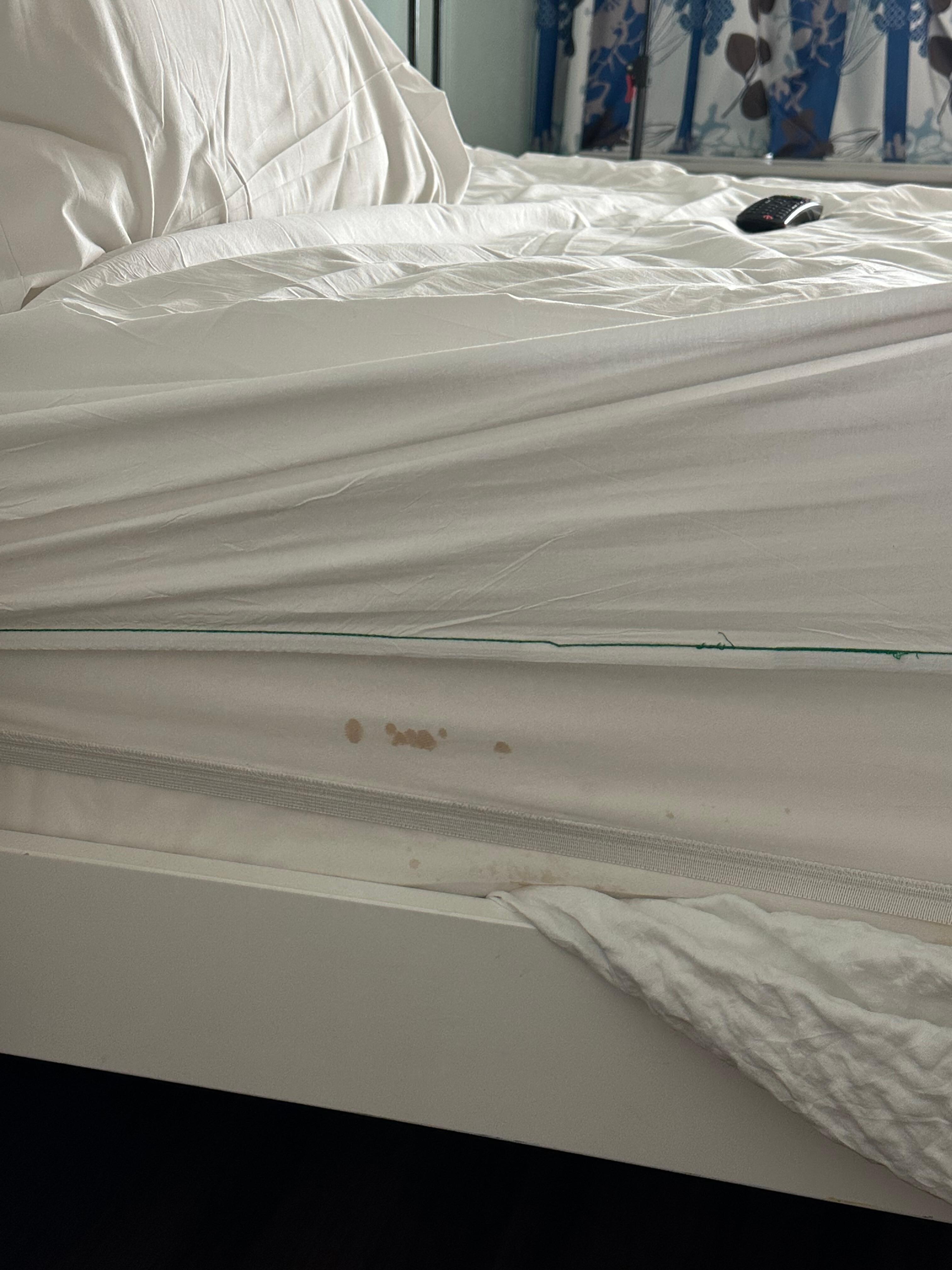 Stained bed