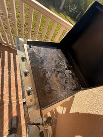 Not only was the backyard completely uncapped. This is what the grill looks like and the furniture was disgusting. We weren’t even able to utilize the backyard.