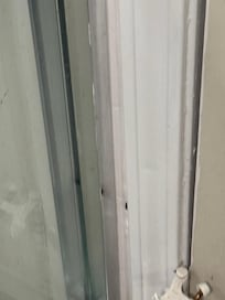 Roaches