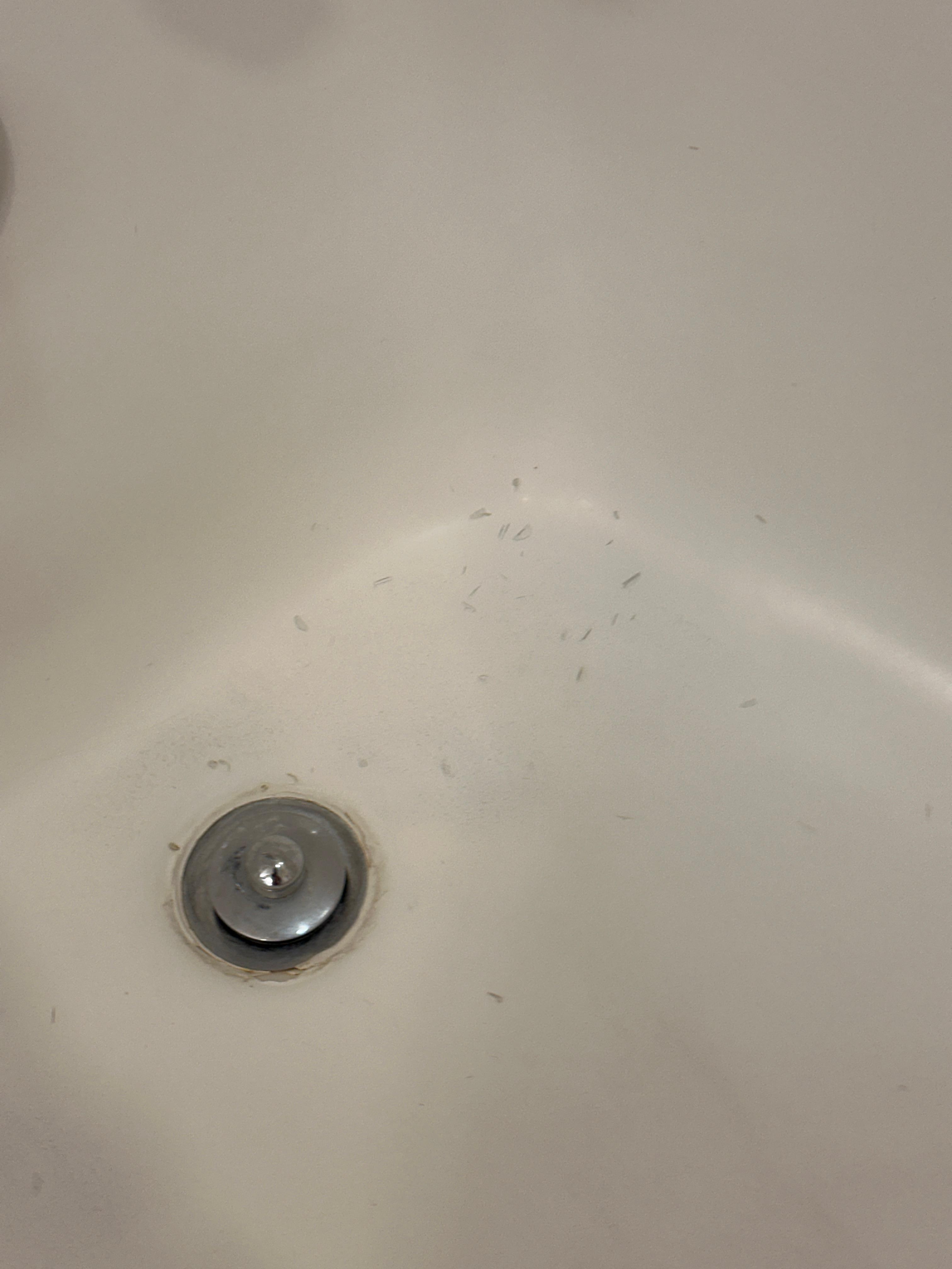 Bathtub