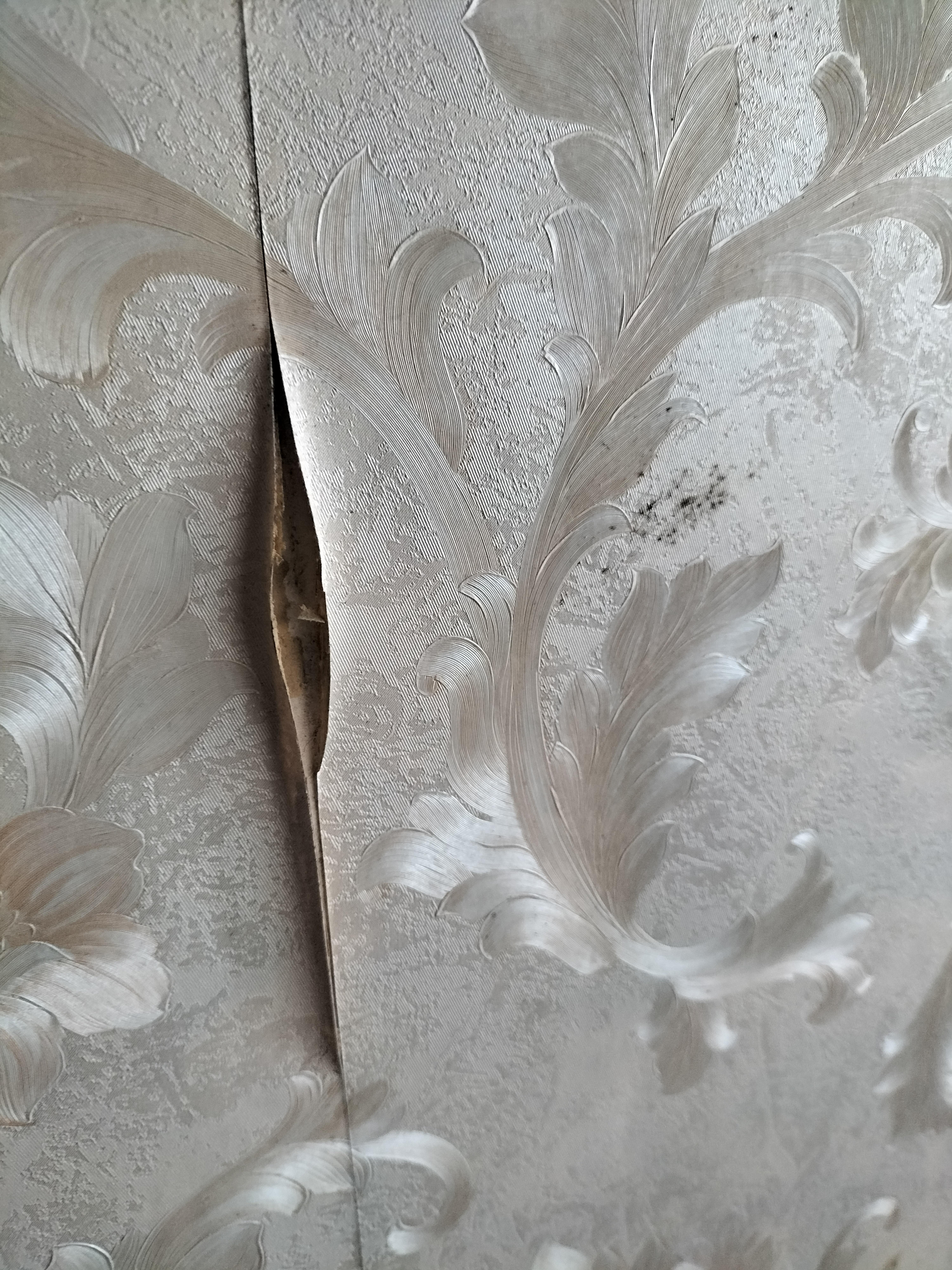 Papel despegado por humedad .