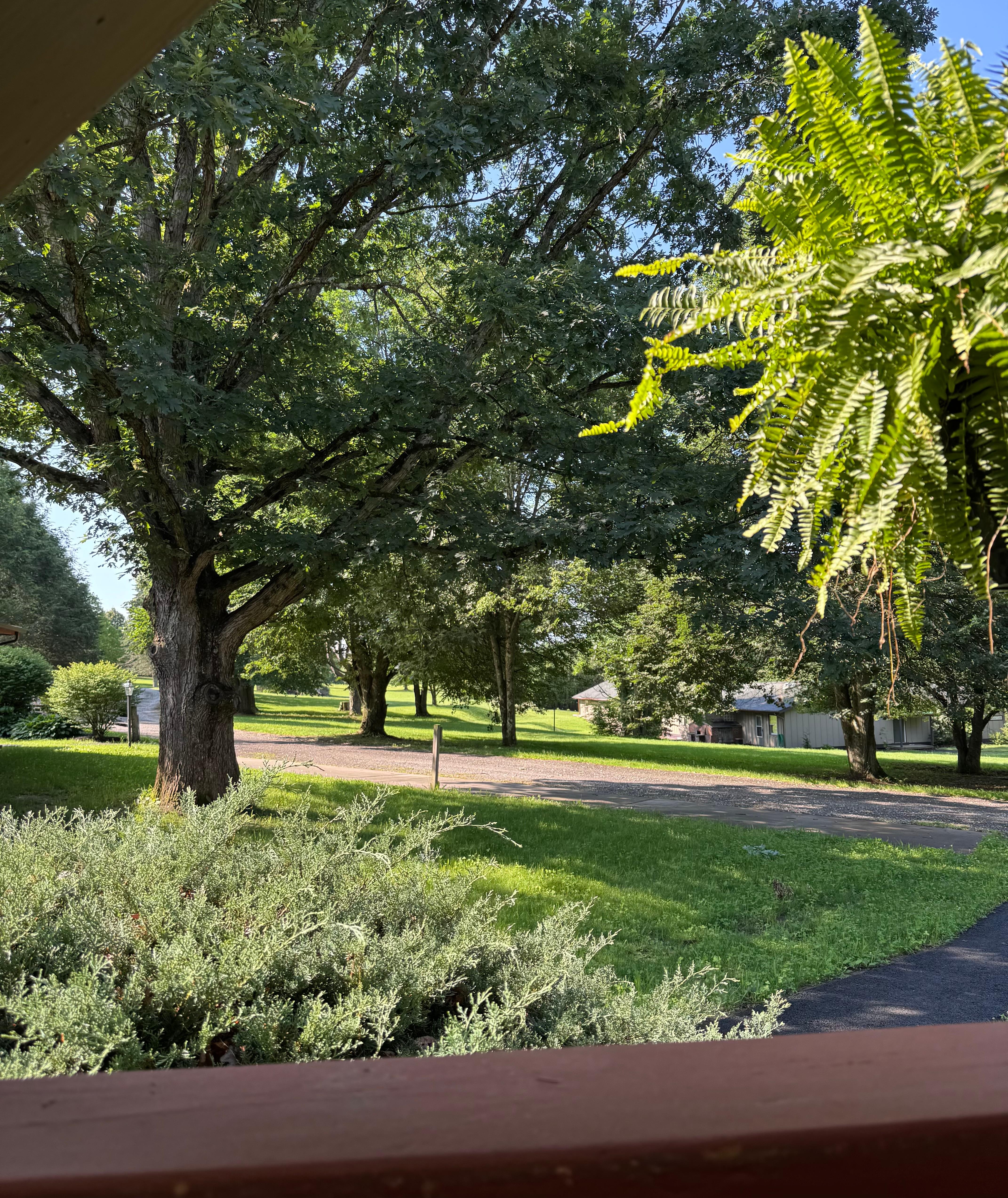 Lovely view from the restaurant patio.