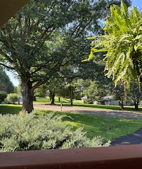Lovely view from the restaurant patio.