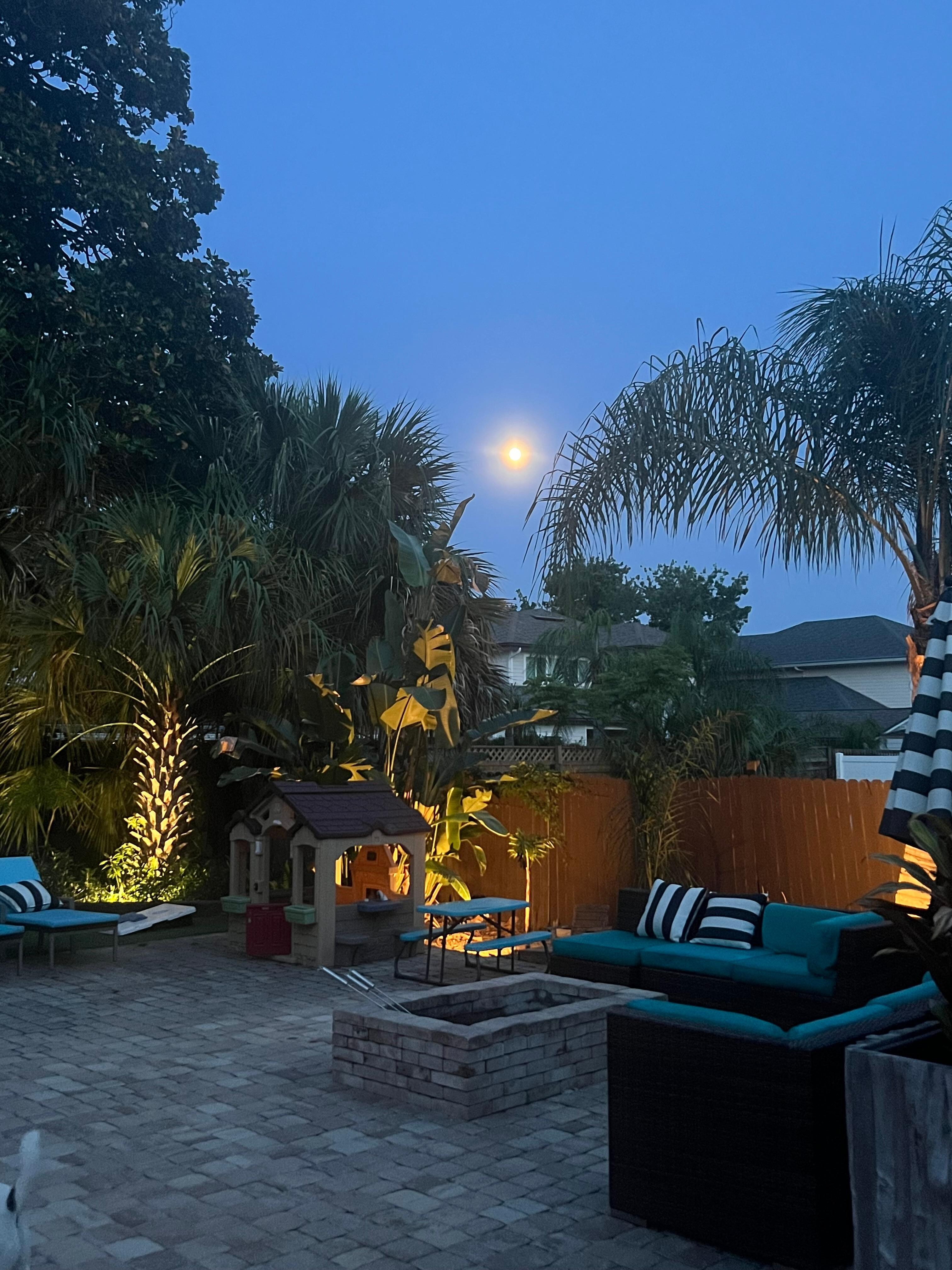 Backyard at night 