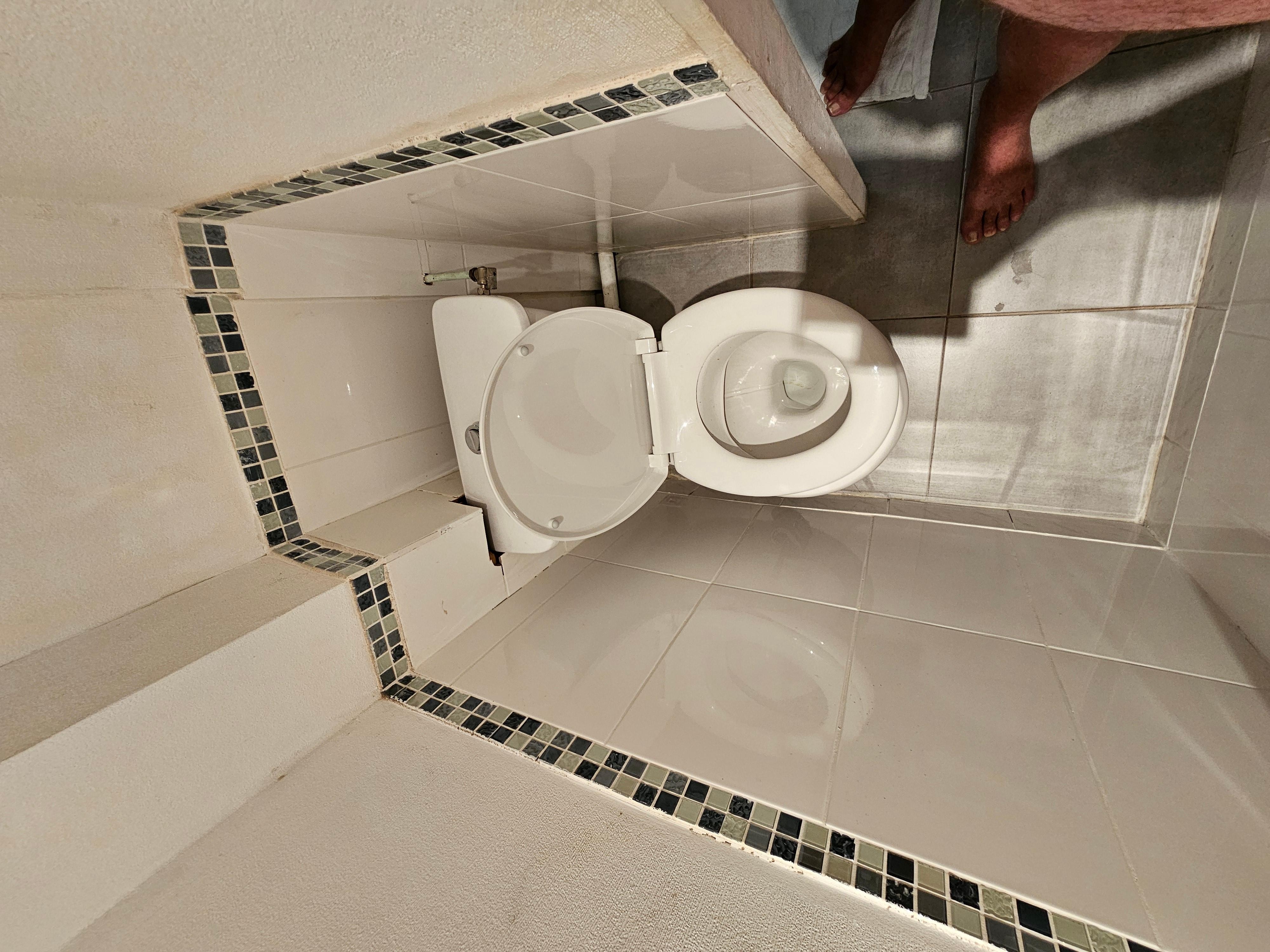 Corpulence rugbyman très difficile l’accès aux toilettes et vous apprécierez l’installation 