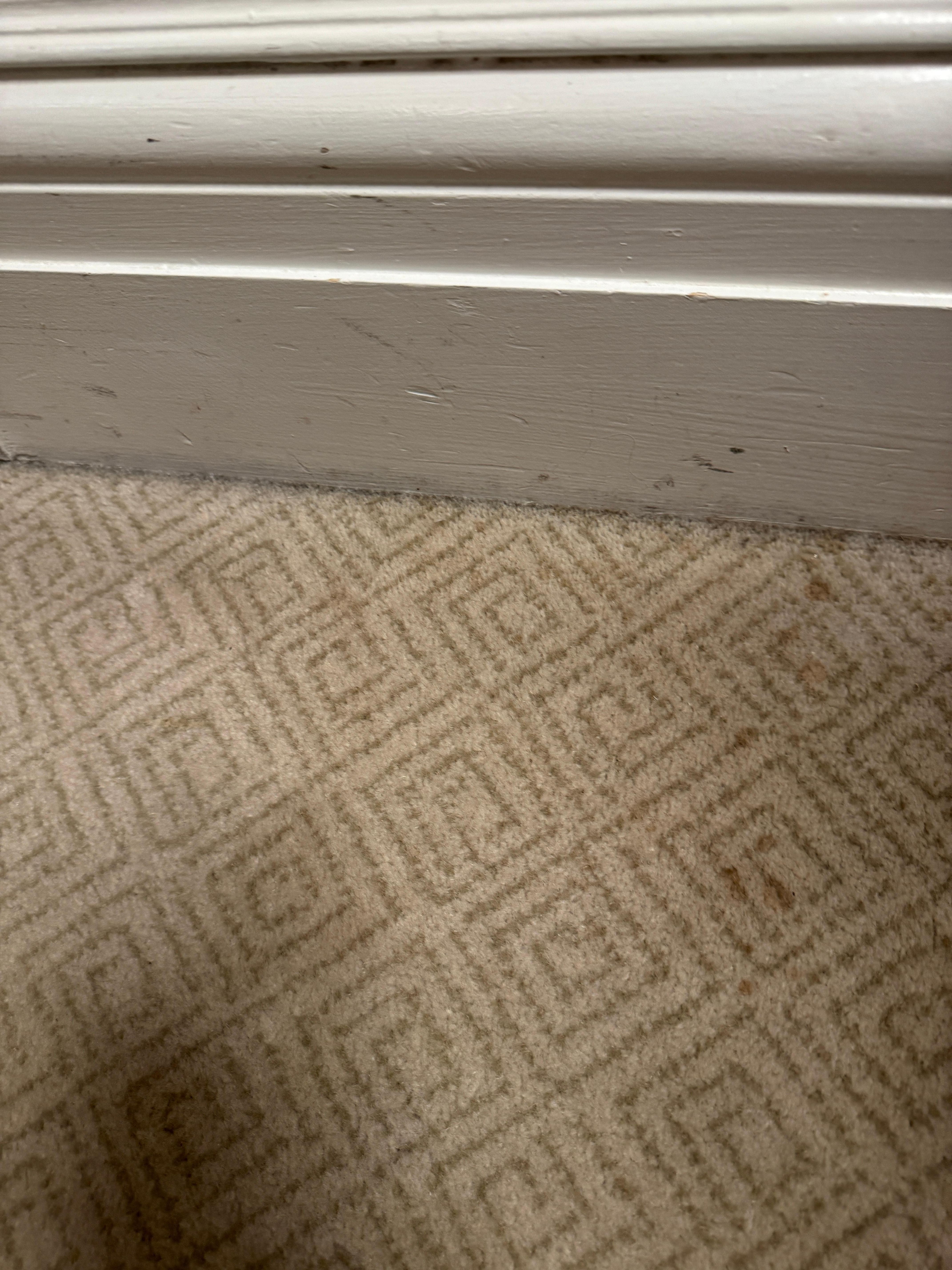 Blood stains and grime on floor