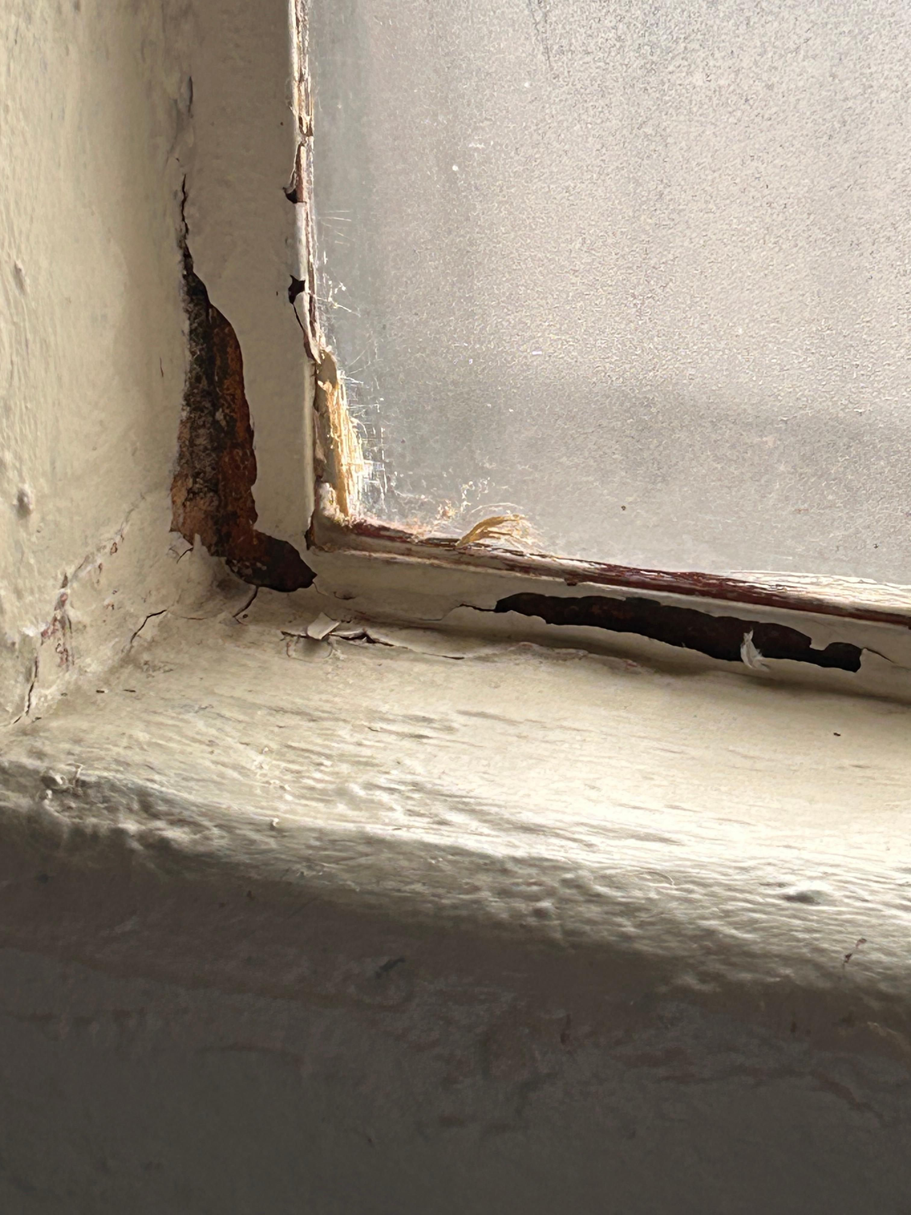 Peeling paint

