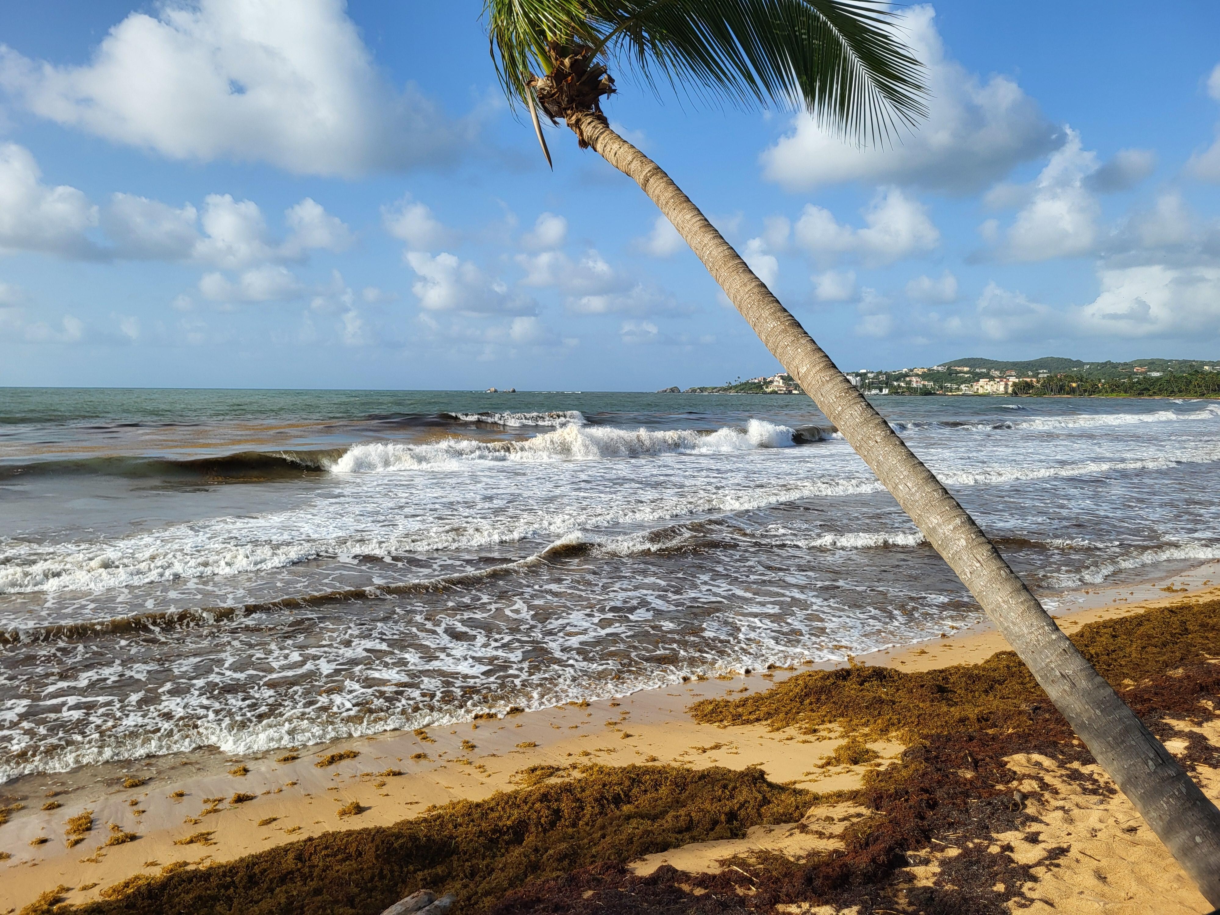 Beachfront