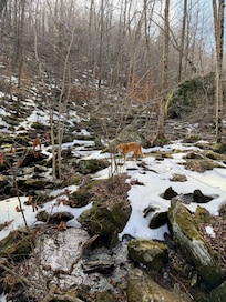 South River Falls Trail